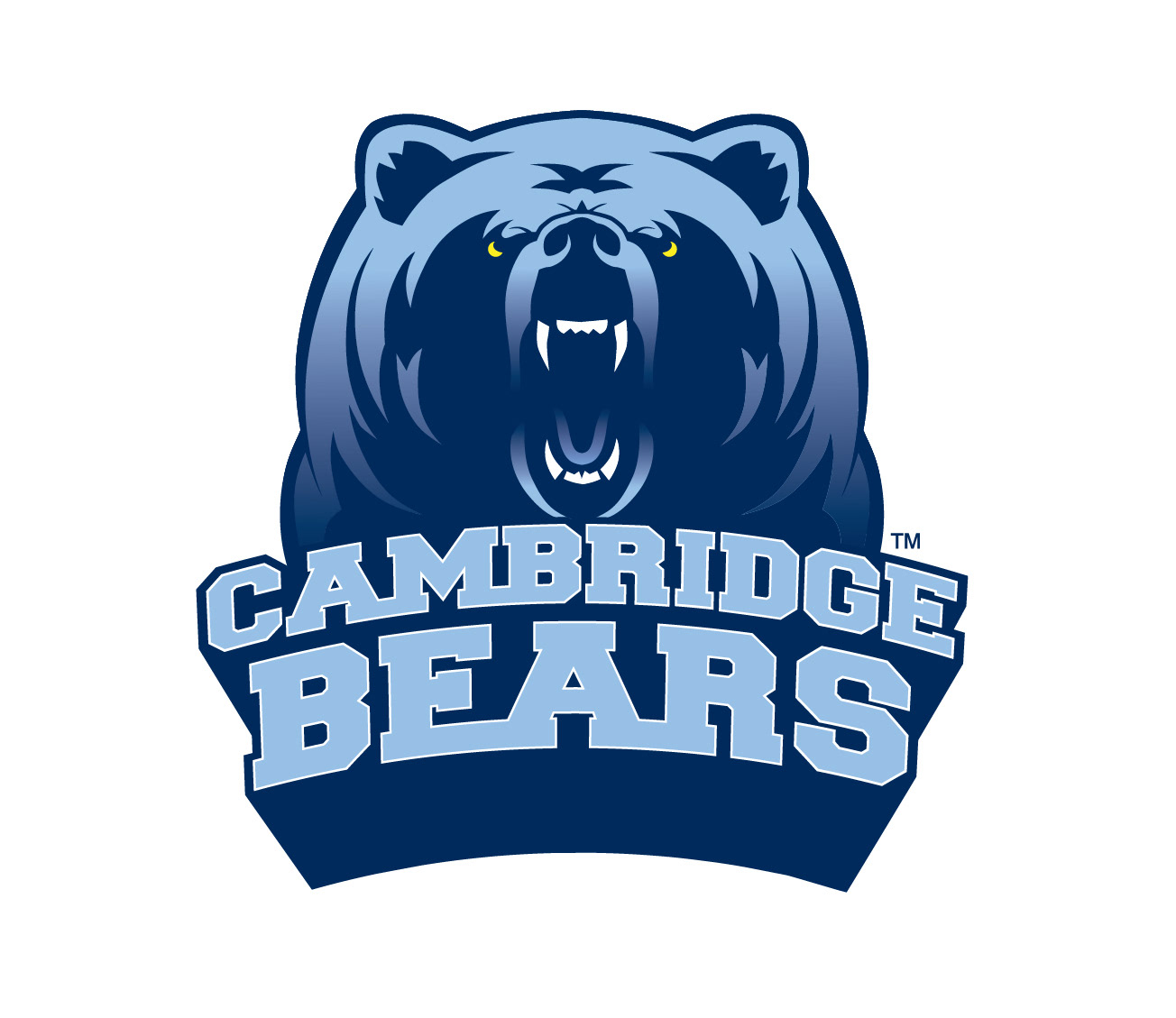 WHAT CLASSIFICATION IS CAMBRIDGE HIGH SCHOOL visual data 6