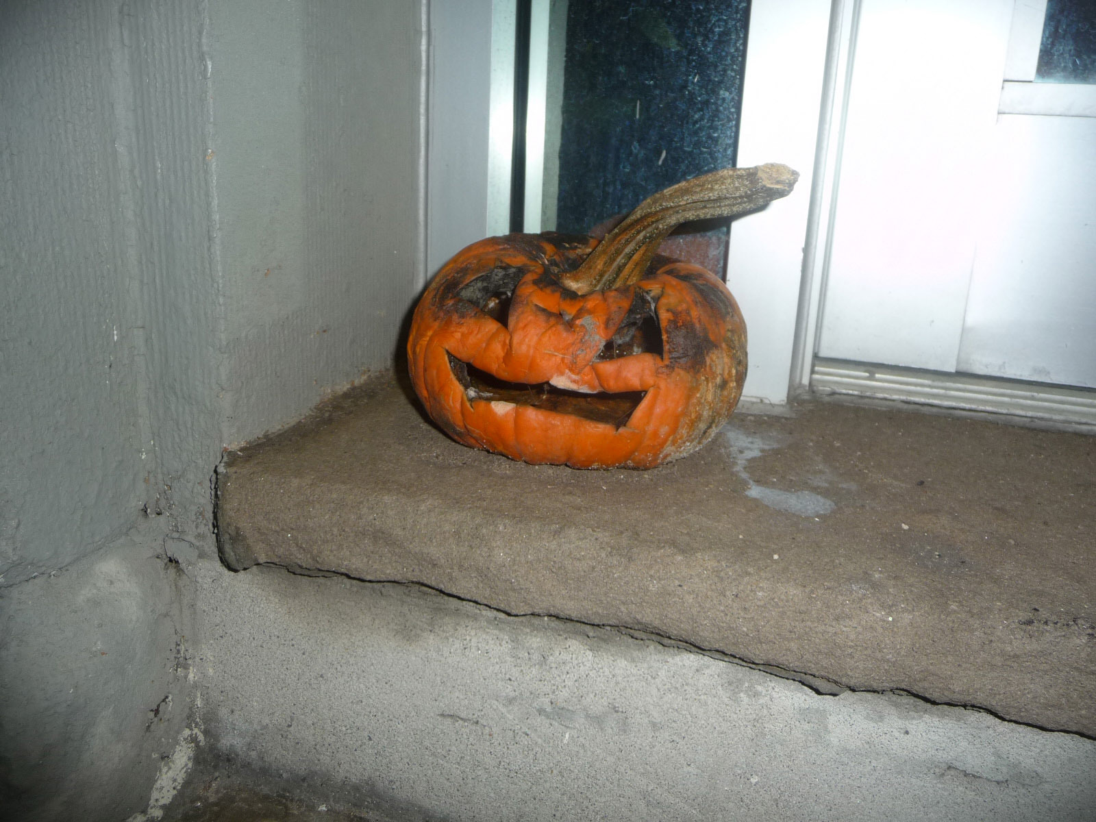 Dying Pumpkin