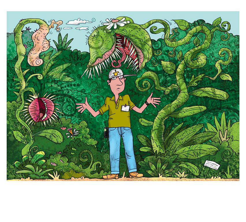 ilustración para libros de texto