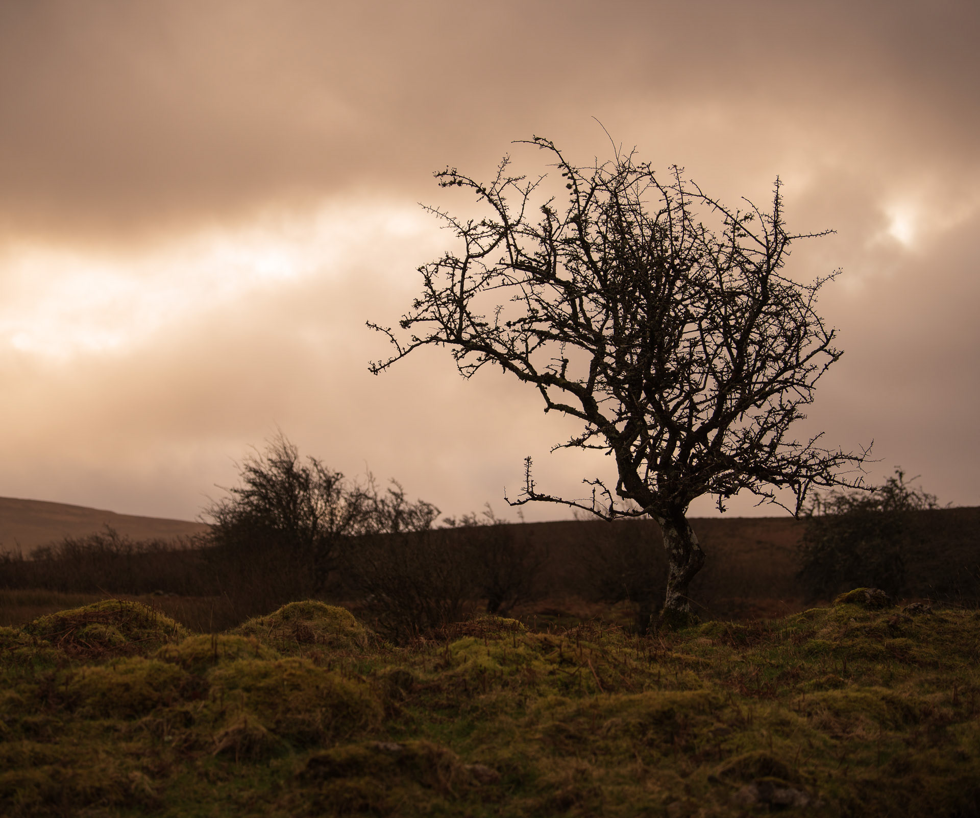 co. Fermanagh, Northern Ireland