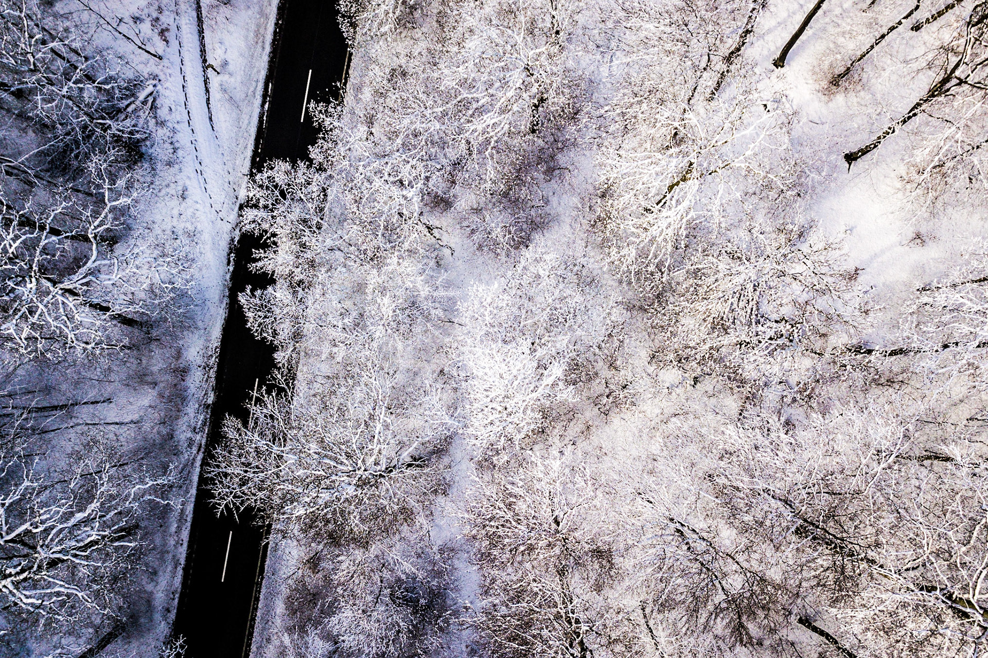 Road to Snow-Where II