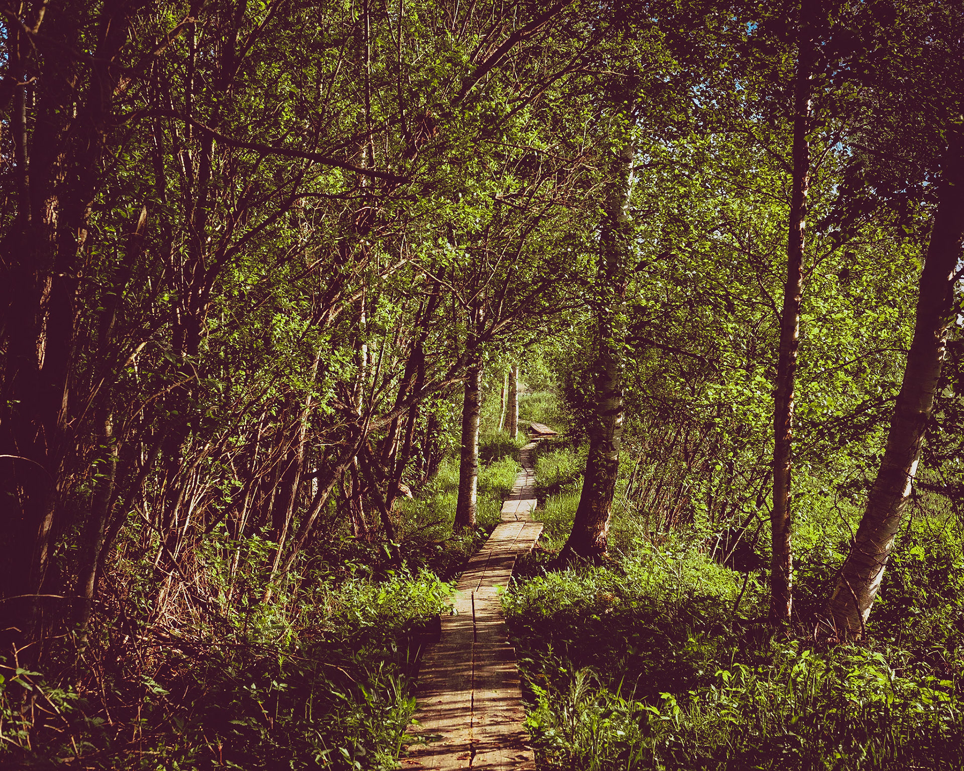 Location: Keskimmäinen, Northern Savo, Finland