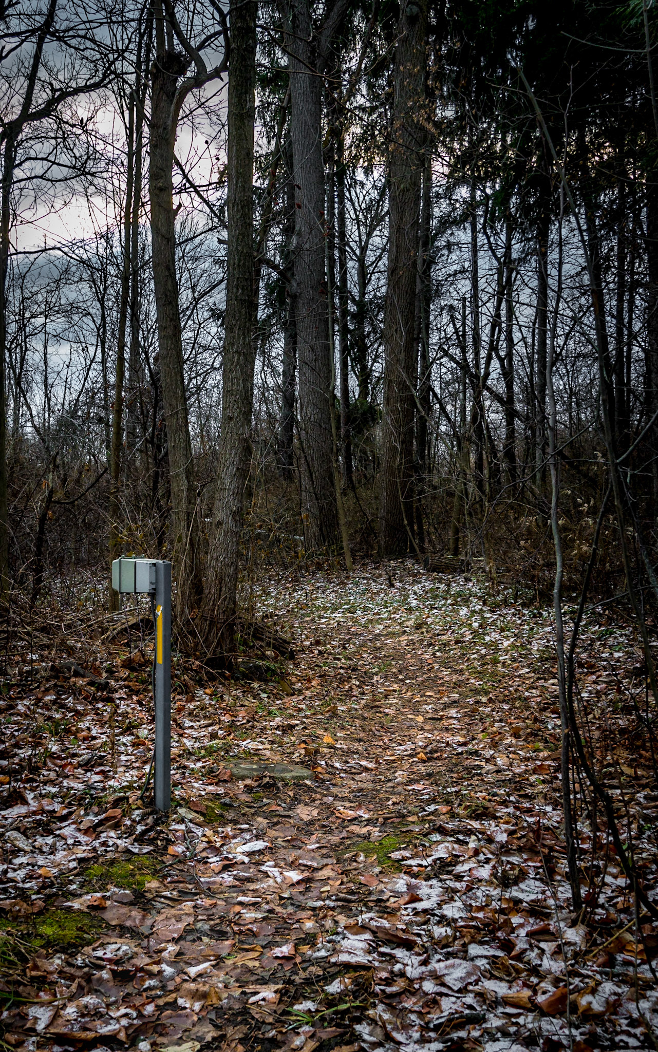 Signs of us Winter
