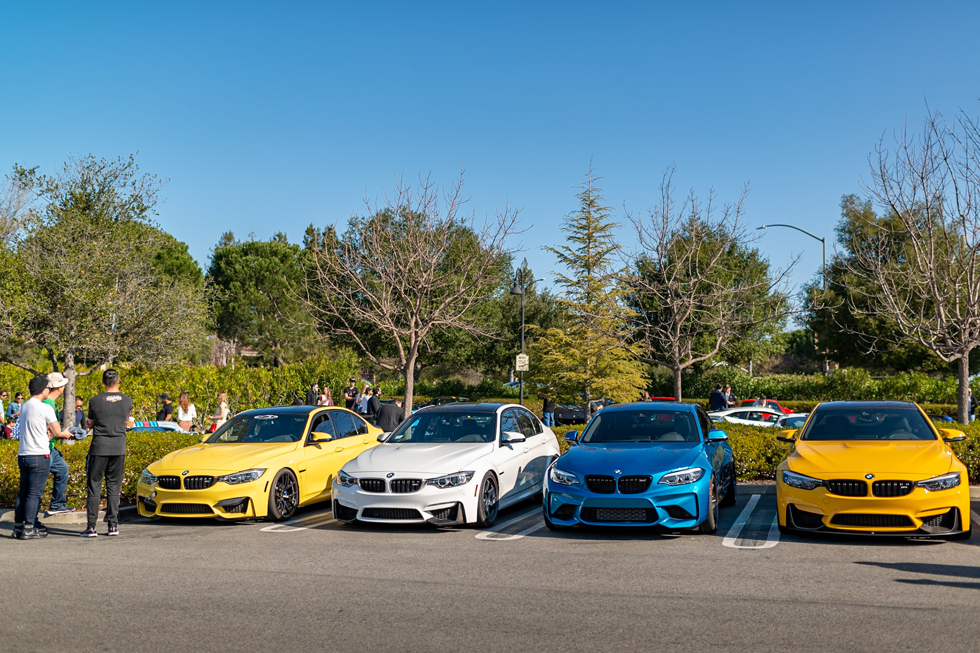 BMWs