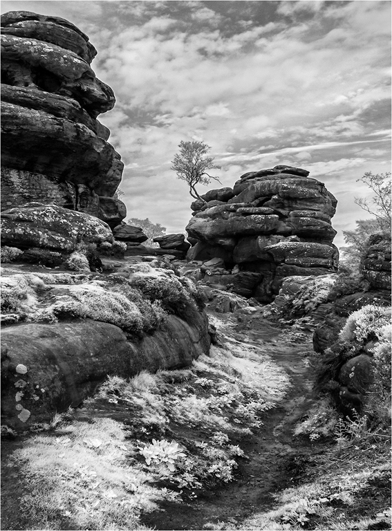 Brimham Rocks -Infra Red