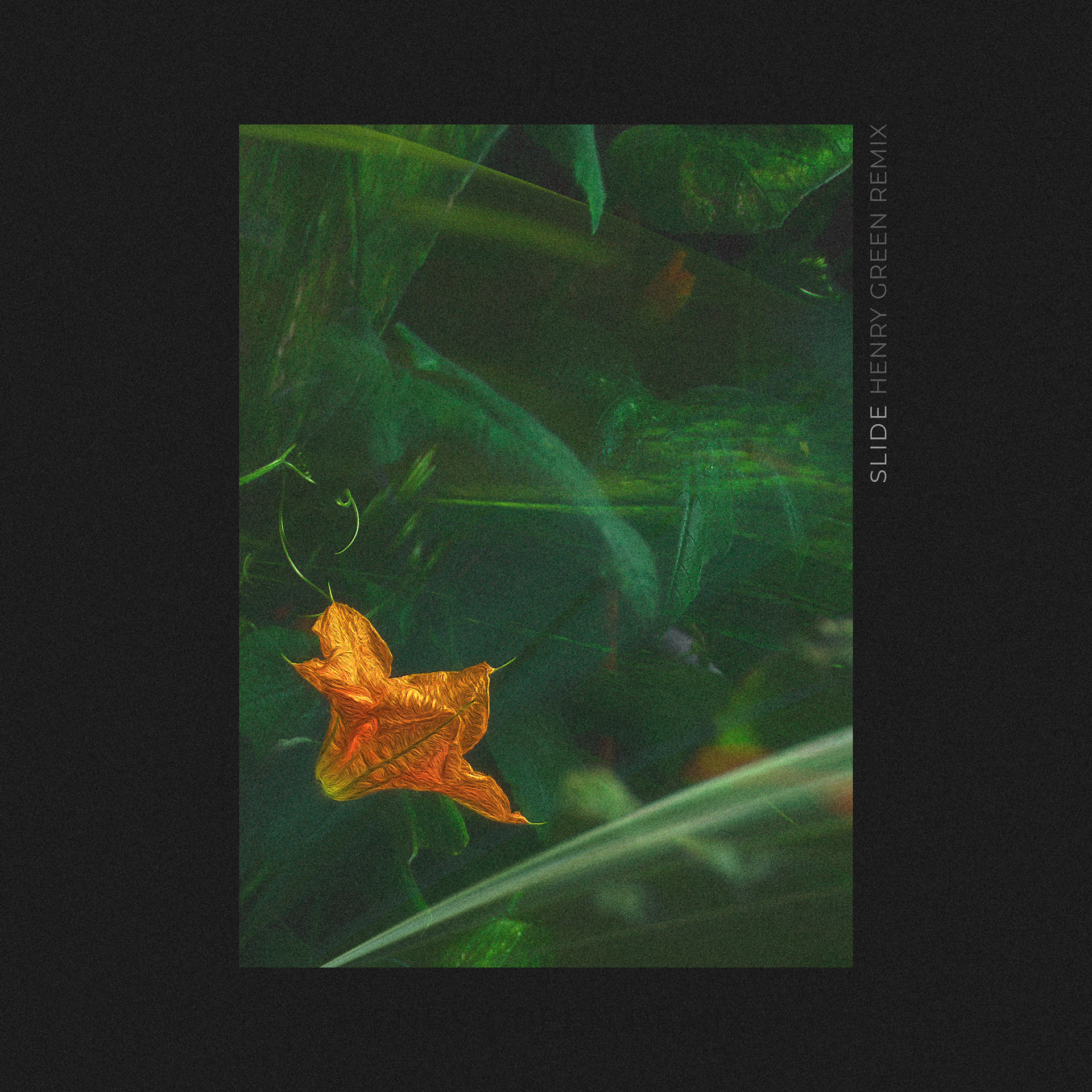Slide - Aforest (Remix)