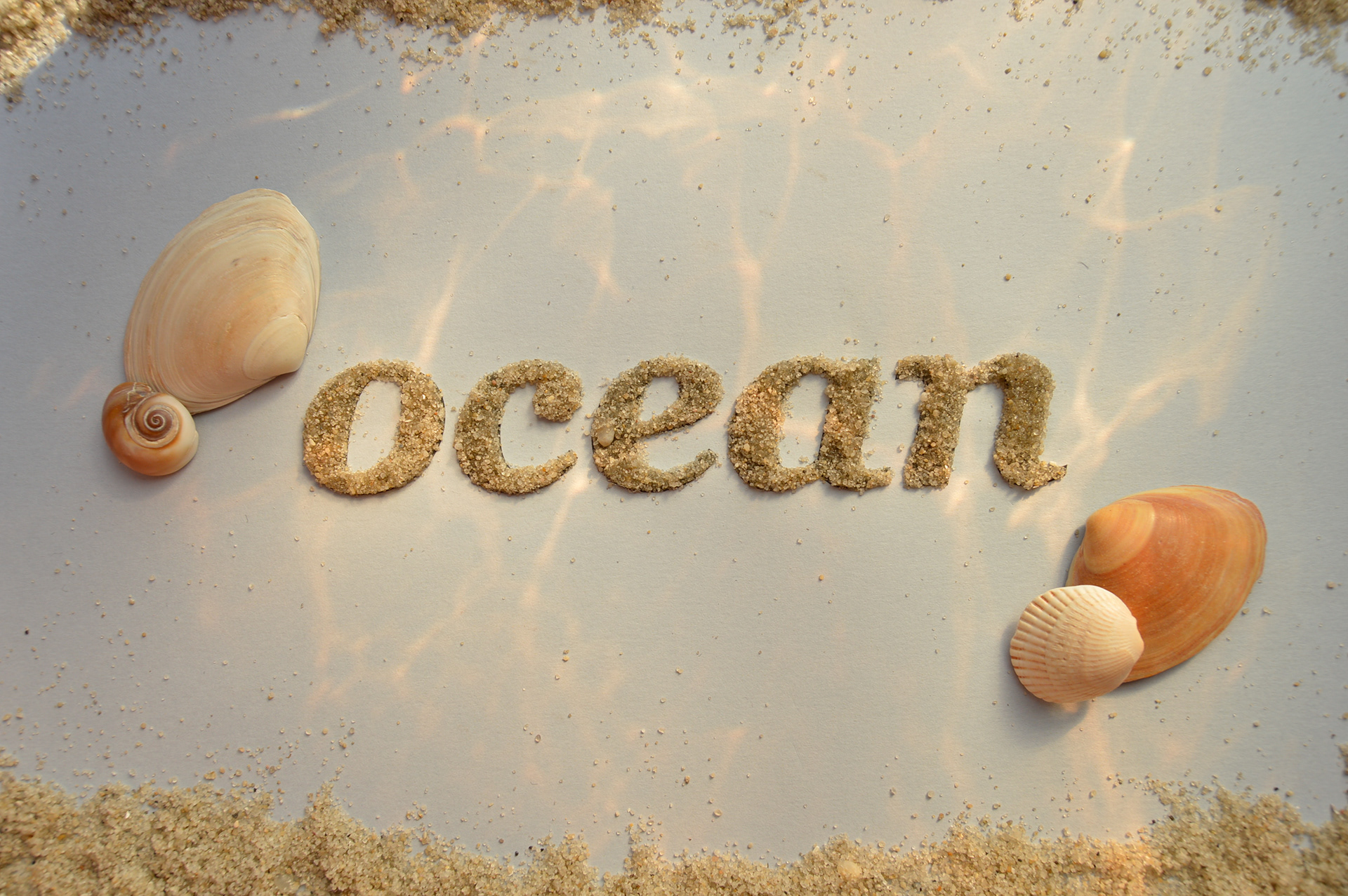 Sand on paper, shells, & reflected water. Photo