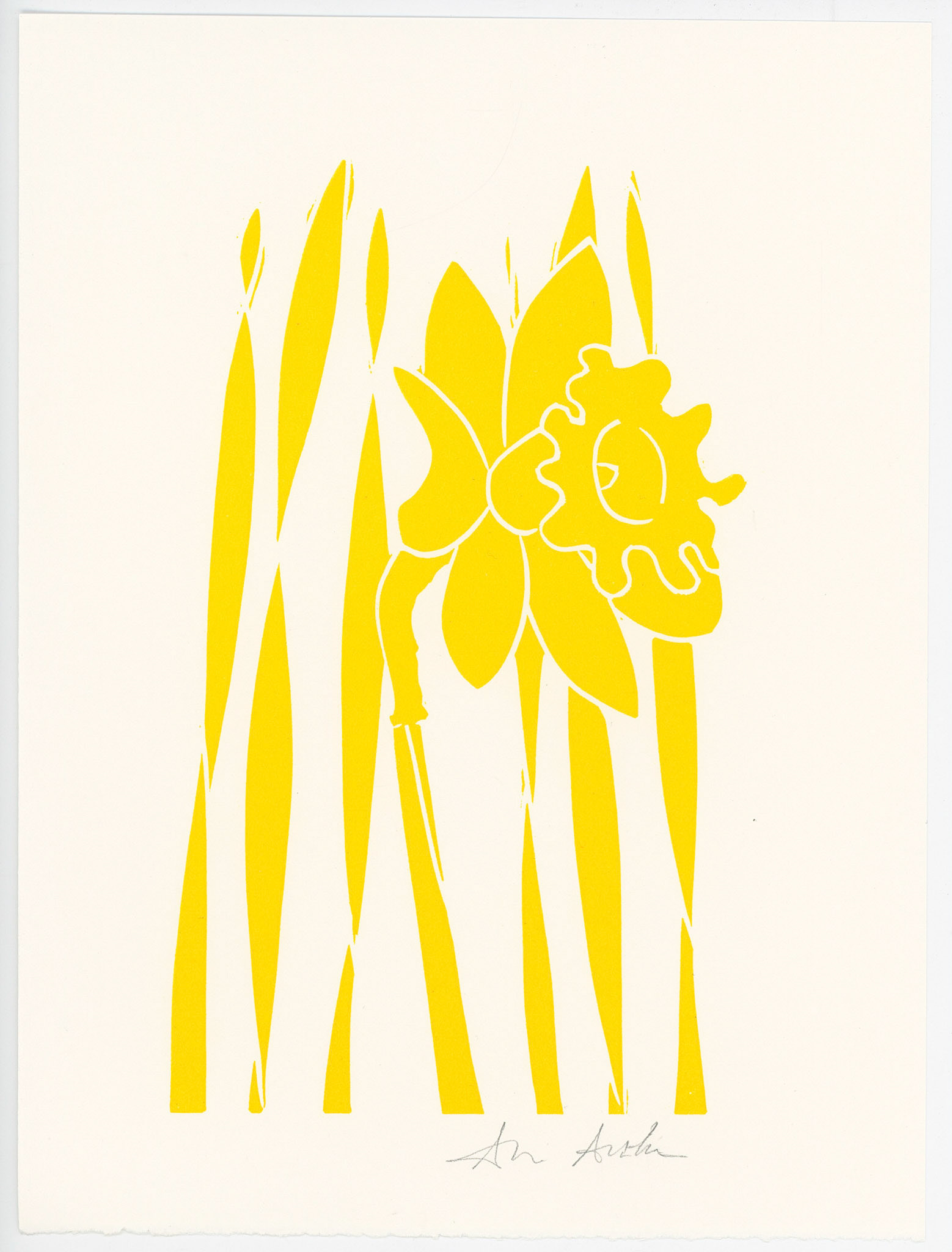 Alice Austin - Covid Year
