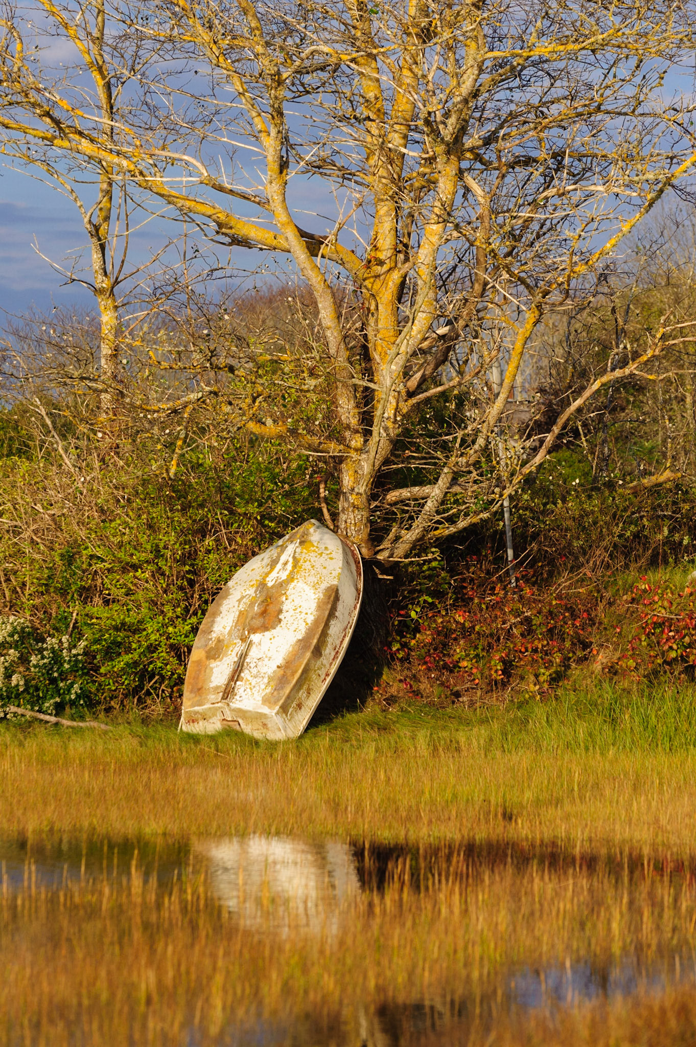 Cape Cod Dinghy