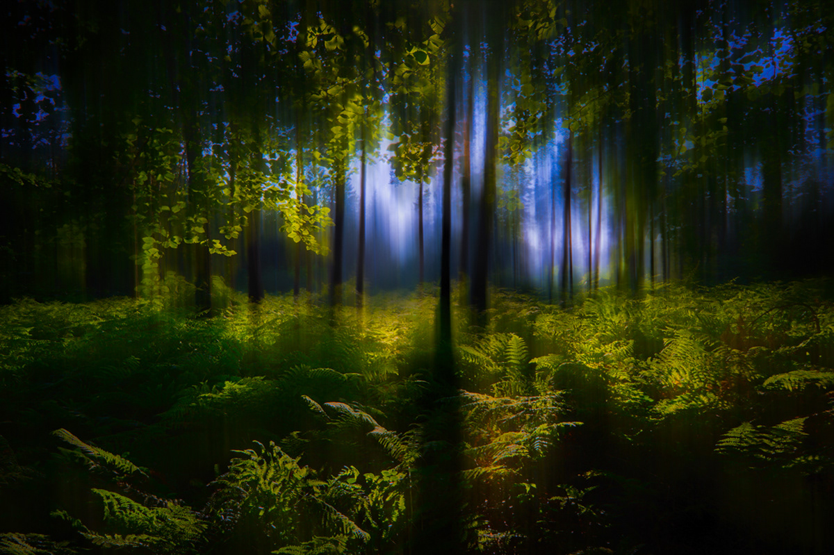 Stefan Kierek - Radonart - Dark forest