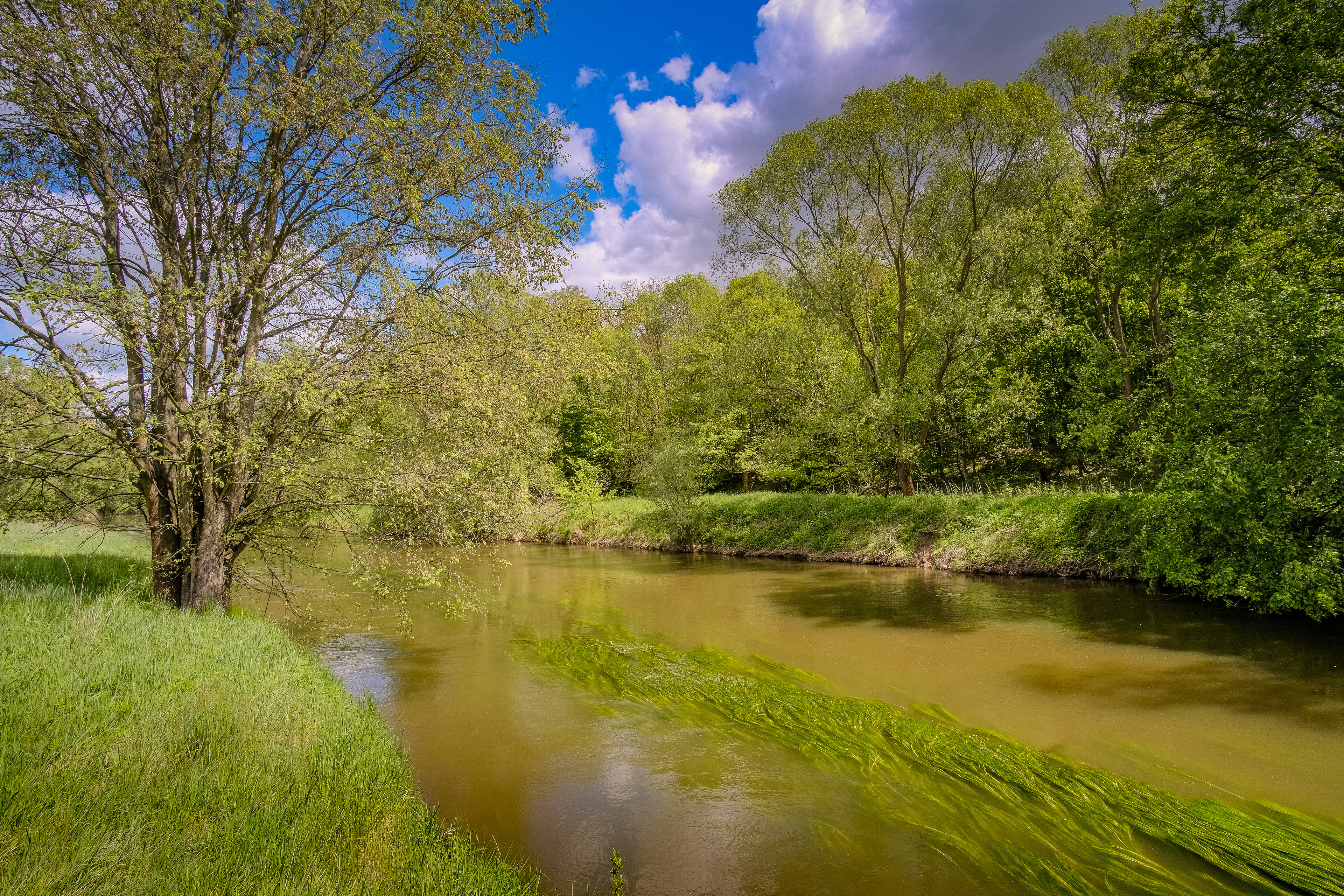 Rzeka Bóbr - Bolesławice