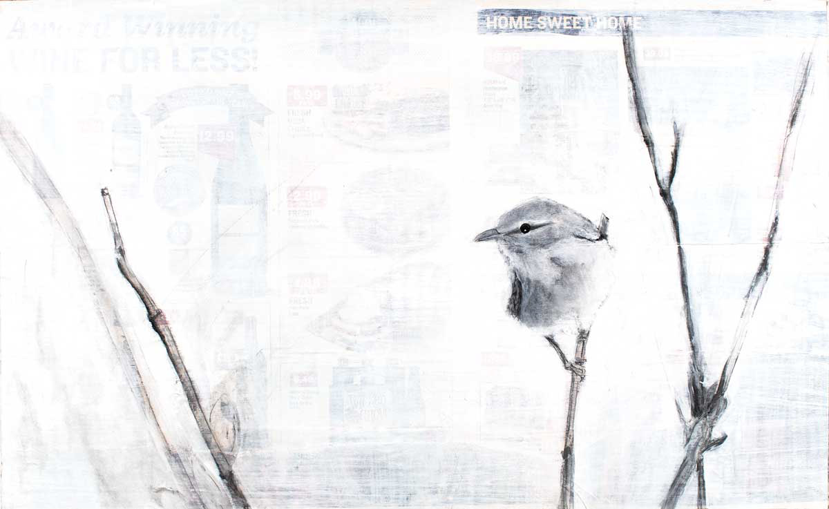 Philadelphia Vireo (Vireo philadelphicus) 86%, 2018