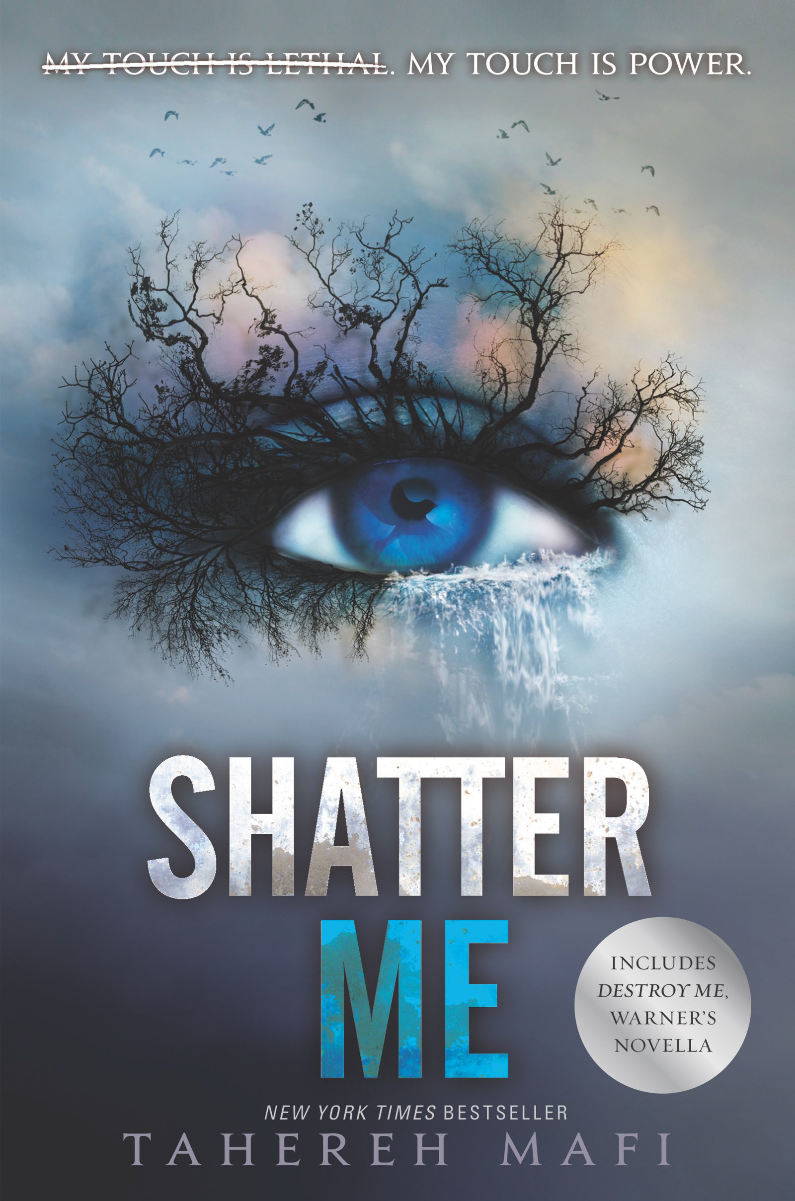 Book cover: An eye is the focal point. Blue iris and the eye lashes fade into trees. The background is smokey and looks like a sunset.