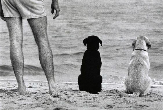 Elliot Erwitt