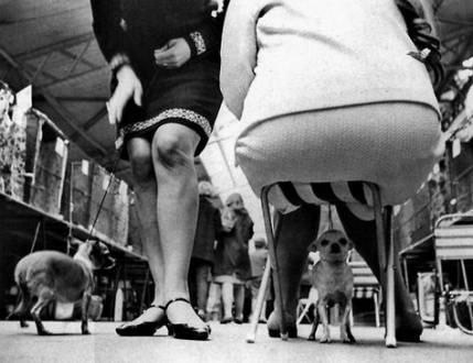 Elliot Erwitt