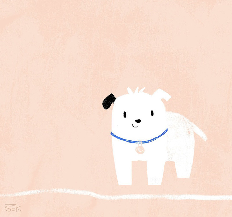 Pup