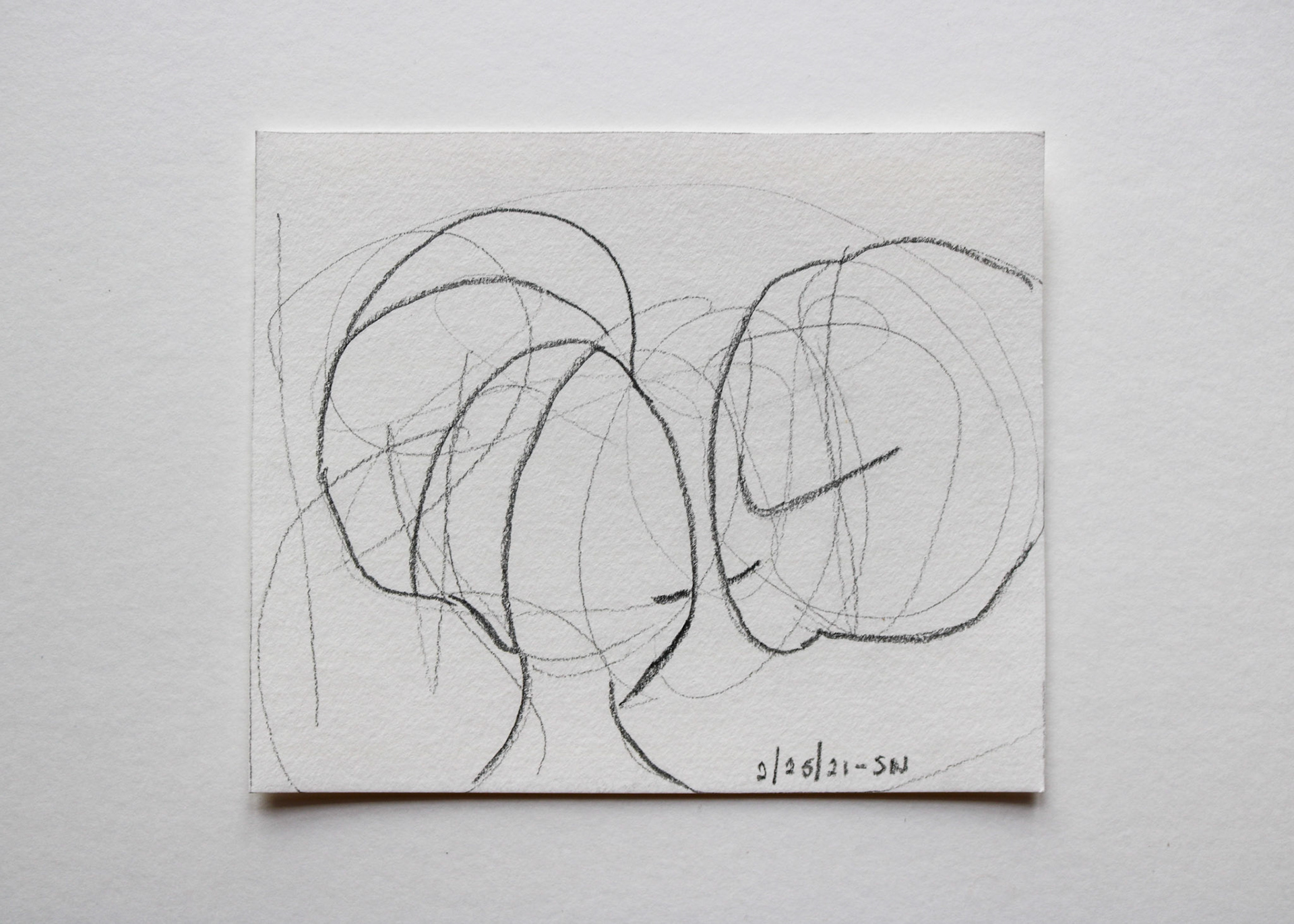 Charcoal on White Card Stock / 7 x 6 in / $60