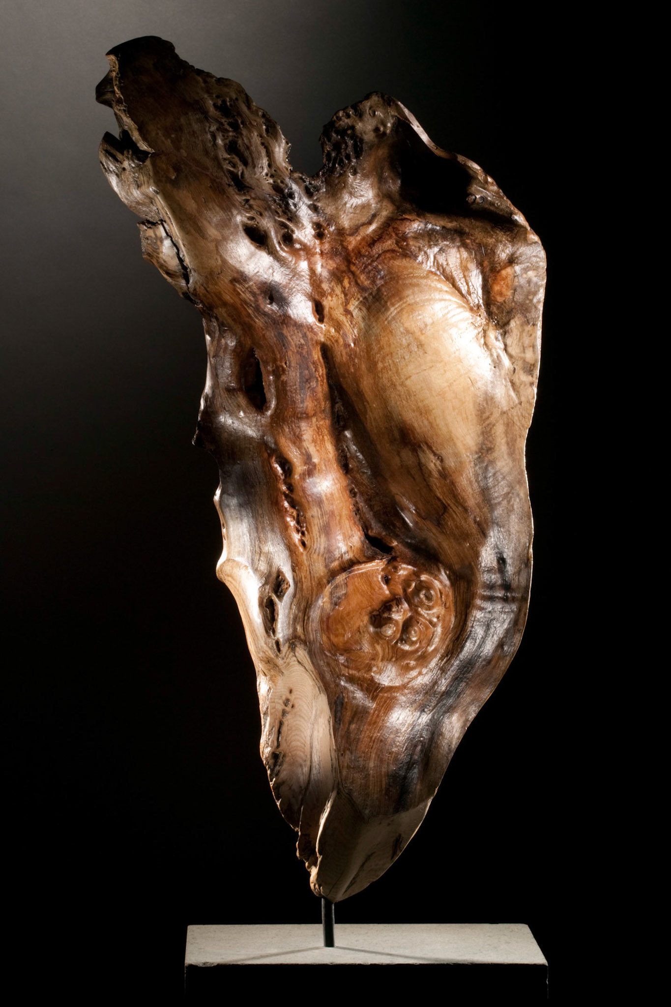 Leaf - 90hx56wx42d (cm). Ash flaked from rotting tree-trunk with bark removed.