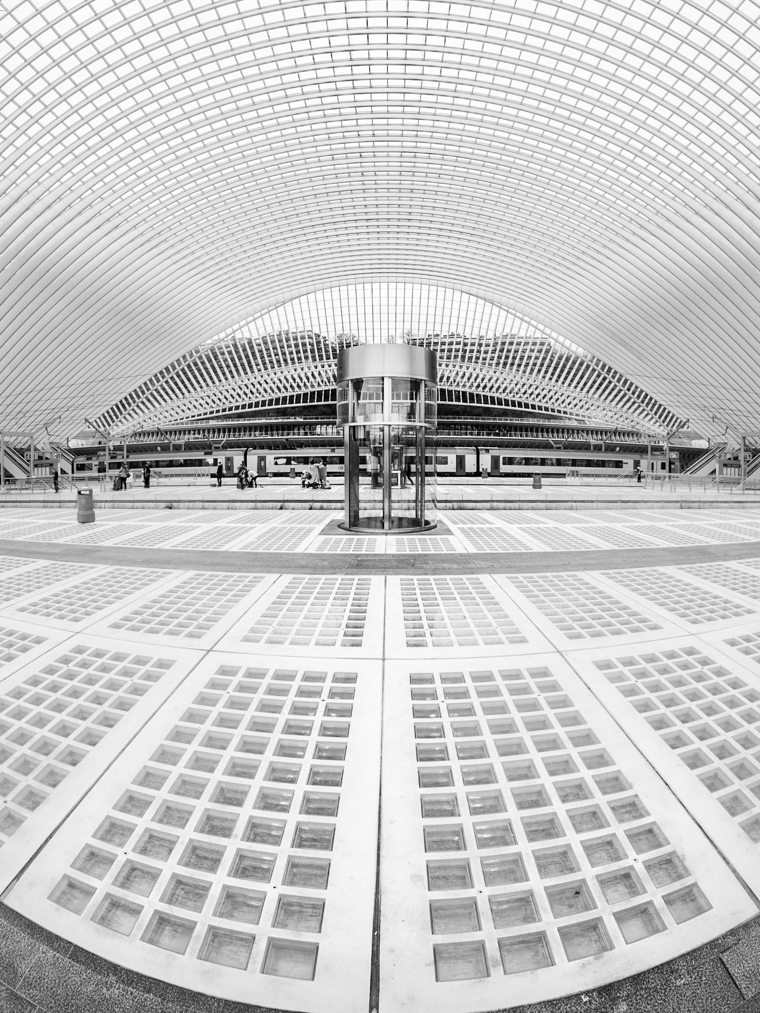 Gare de Guillemins in Lüttich