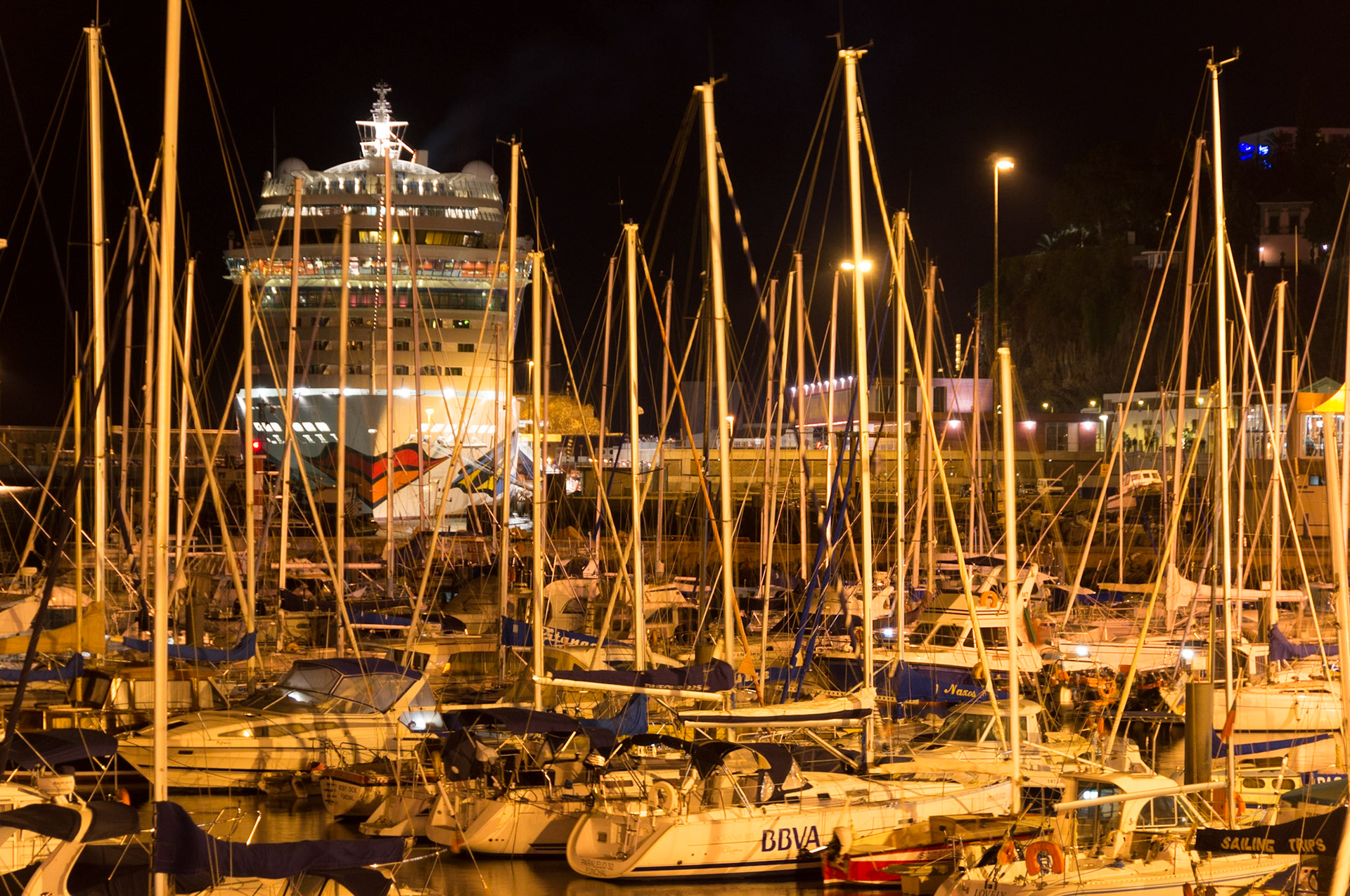 Hafen von Funchal mit der Aida im Hintergrund