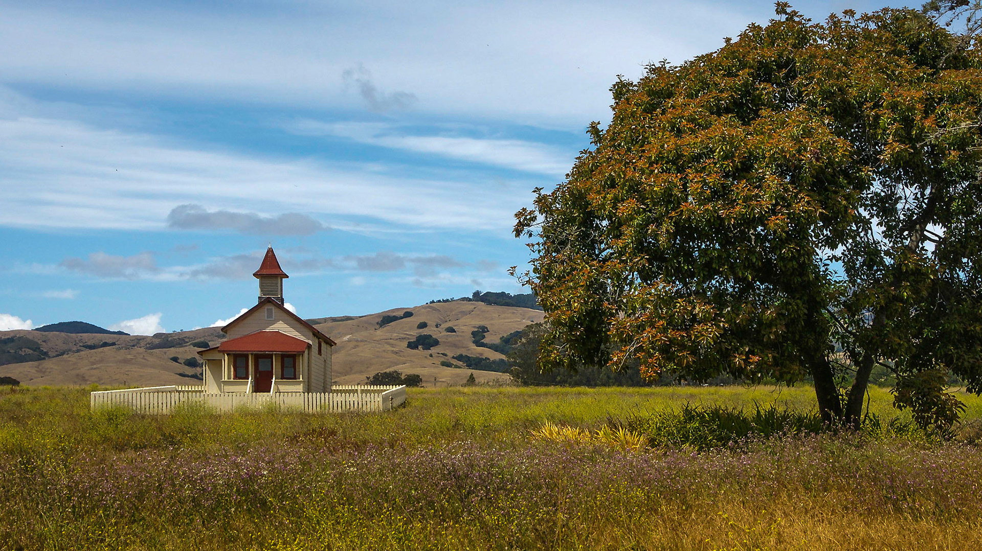Am Highway 1 in Kalifornien nahe San Simeon