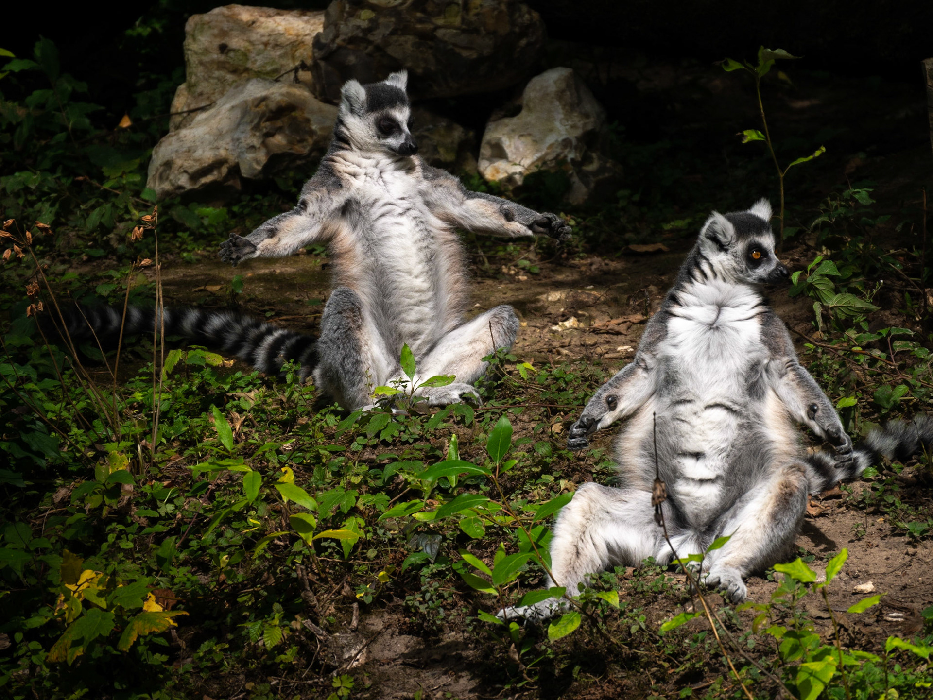 Im Tierpark von Clères