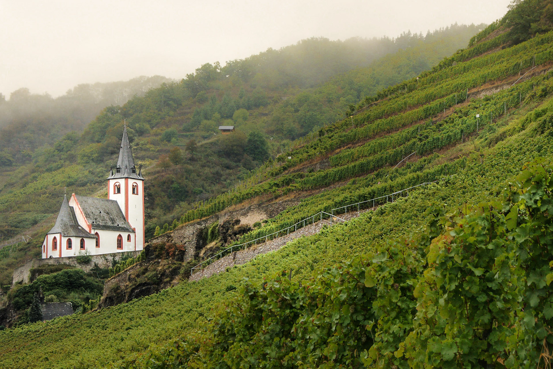 Kapelle im Wingert an der Mosel