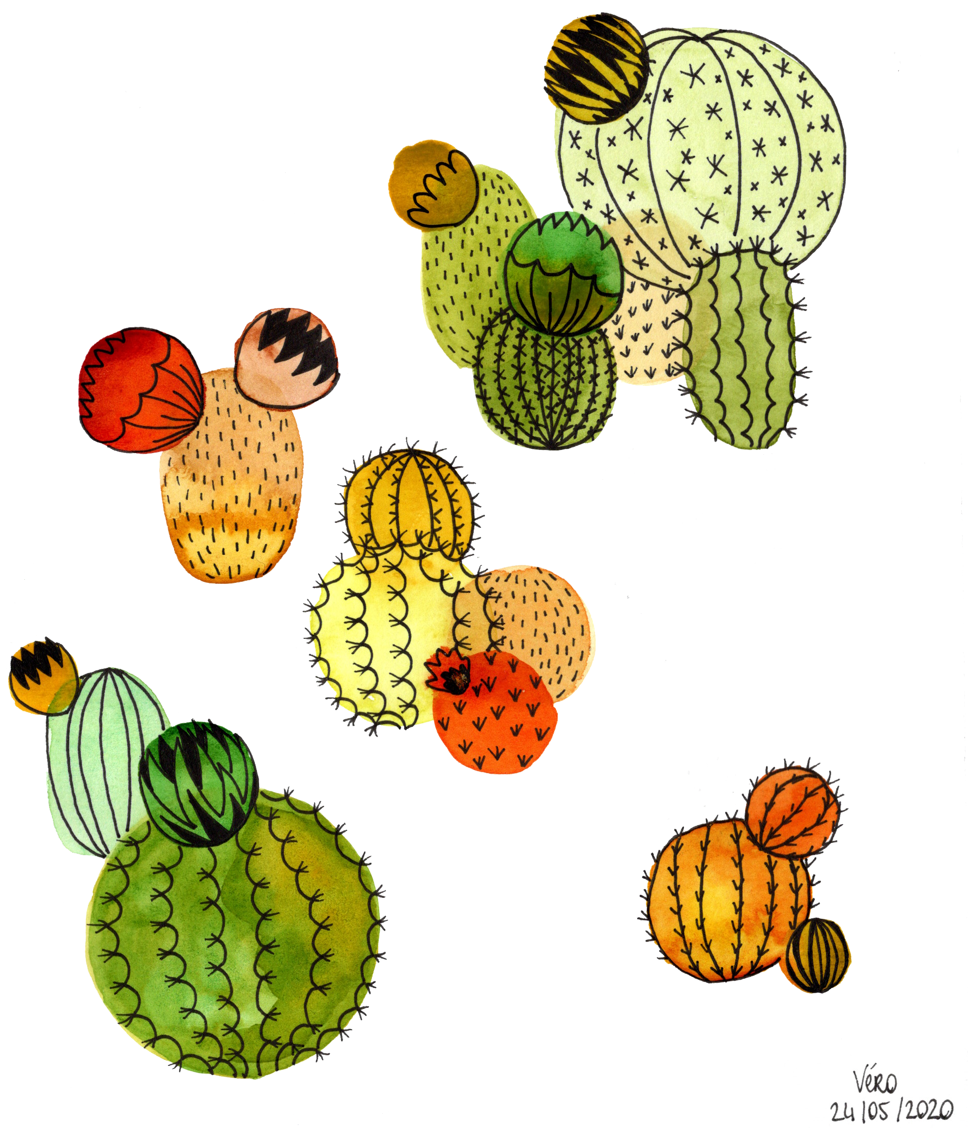 Cactus #1