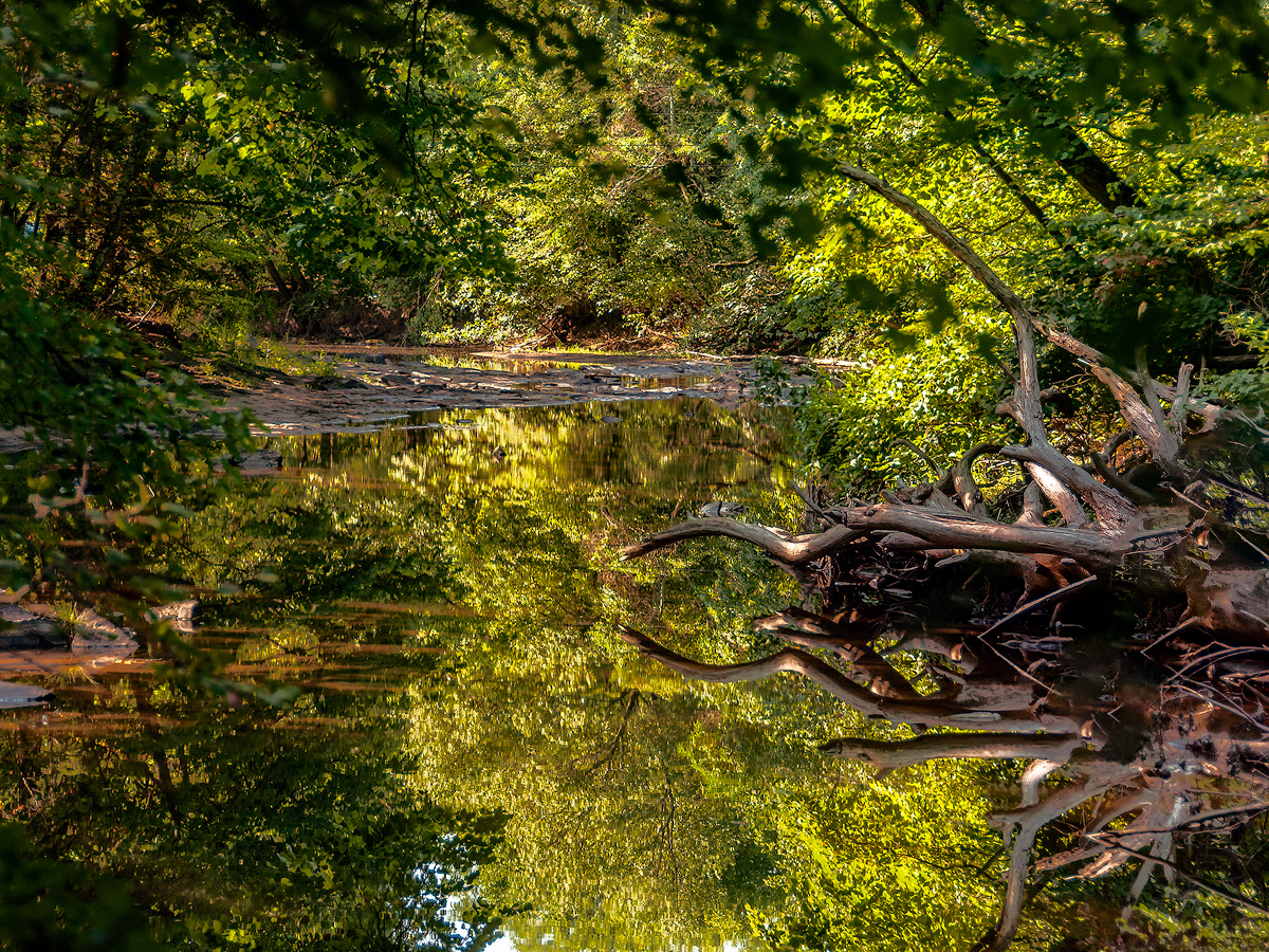 Kaaterskill Creek in Catskill, NY