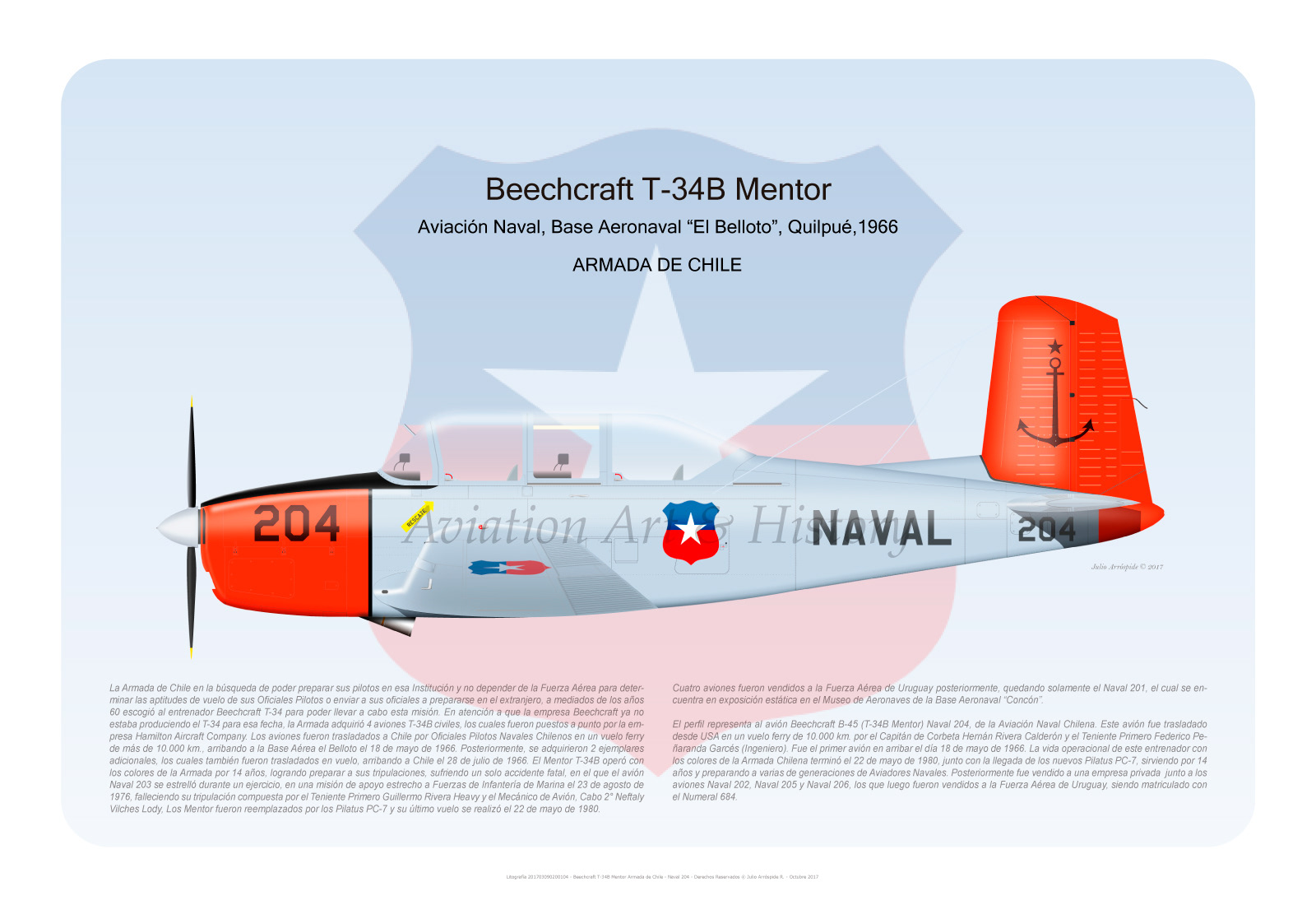 Julio Arrospide Beechcraft T 34 Mentor