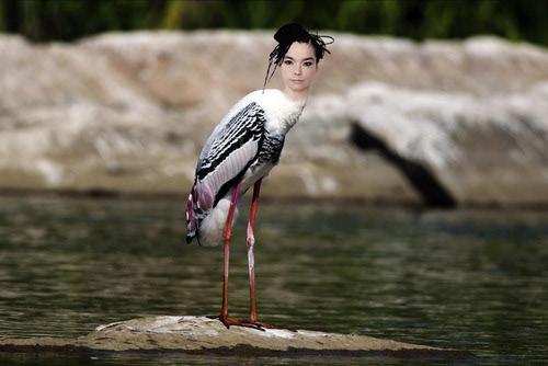Stjörk
