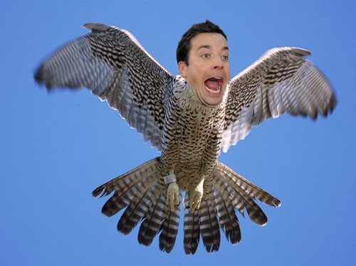 Jimmy Falcon