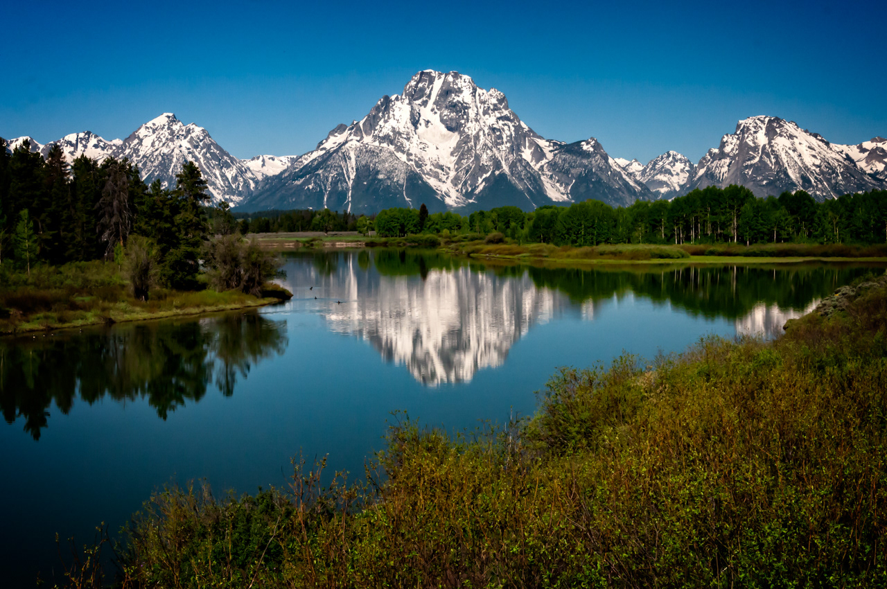 Spring At Oxbow Bend Grand Teton National Park