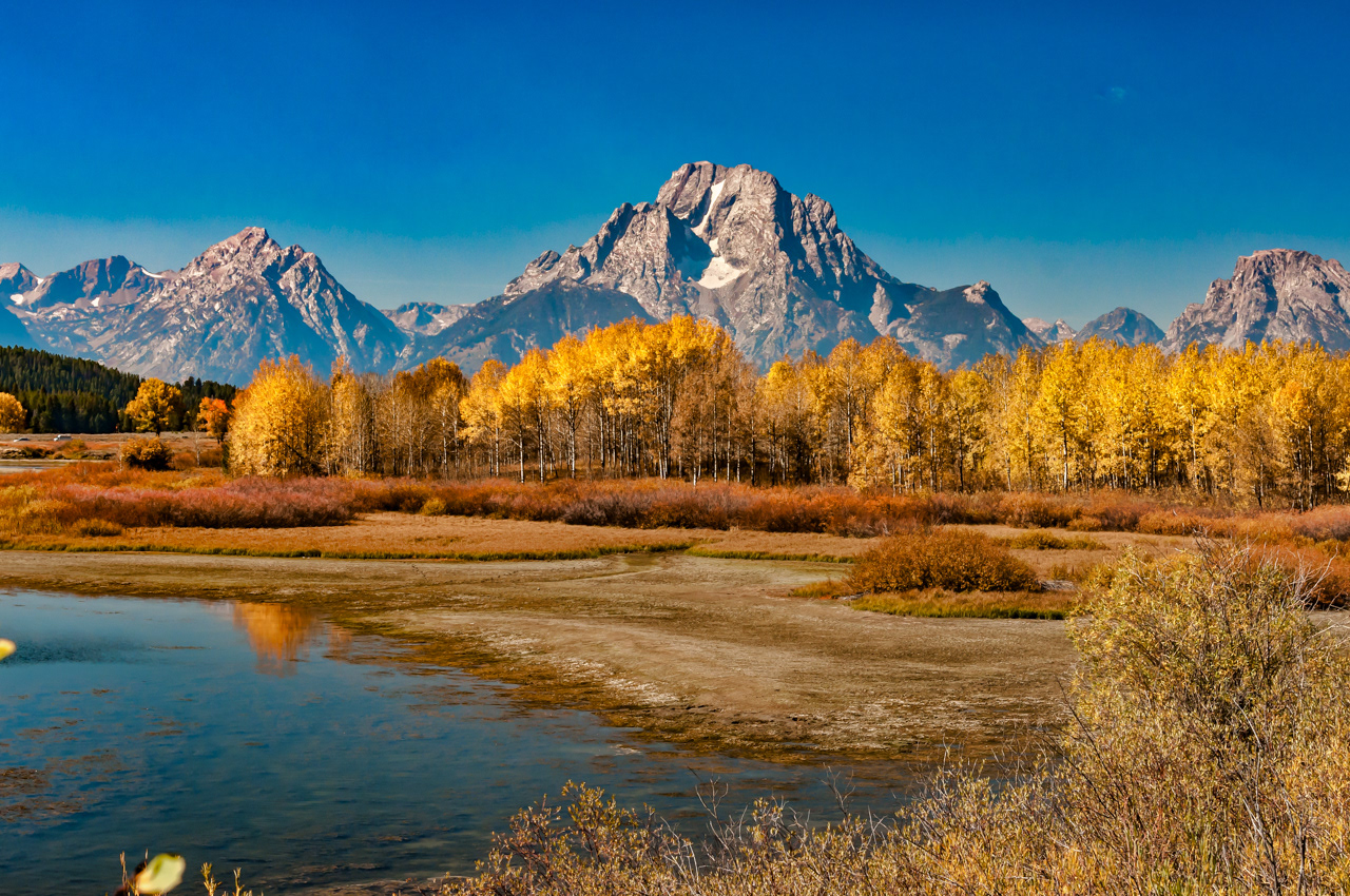 Oxbow Ben Grand Teton National Park