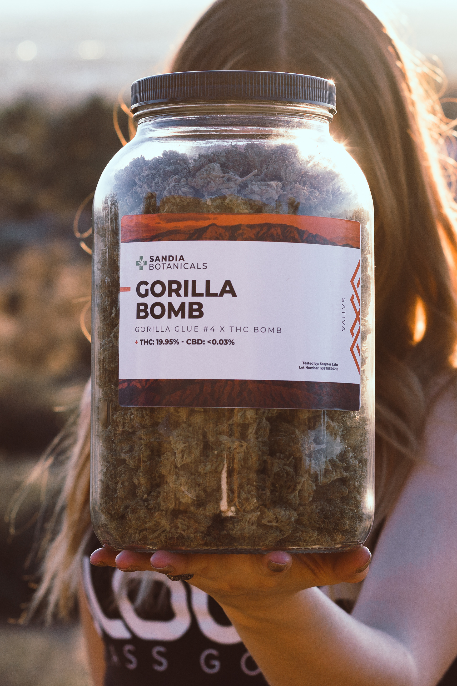 Joshua Lara Sandia Botanicals