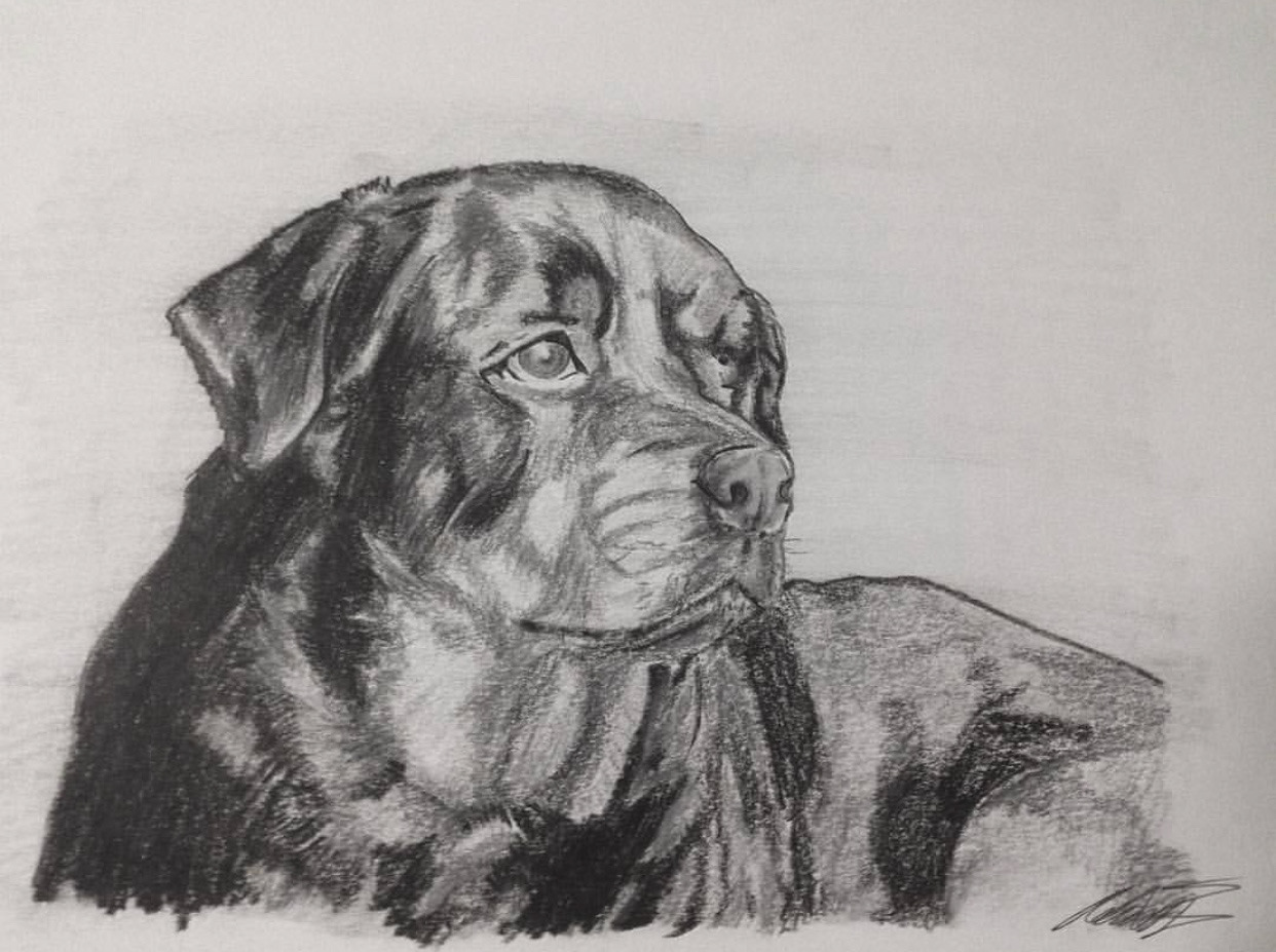 Rottie (2018)