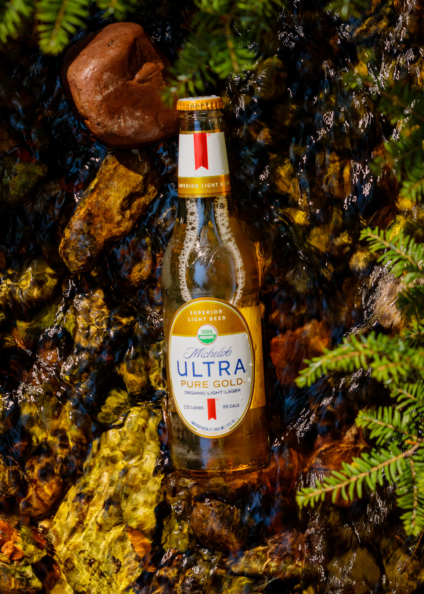 Michelob Ultra Pure Gold