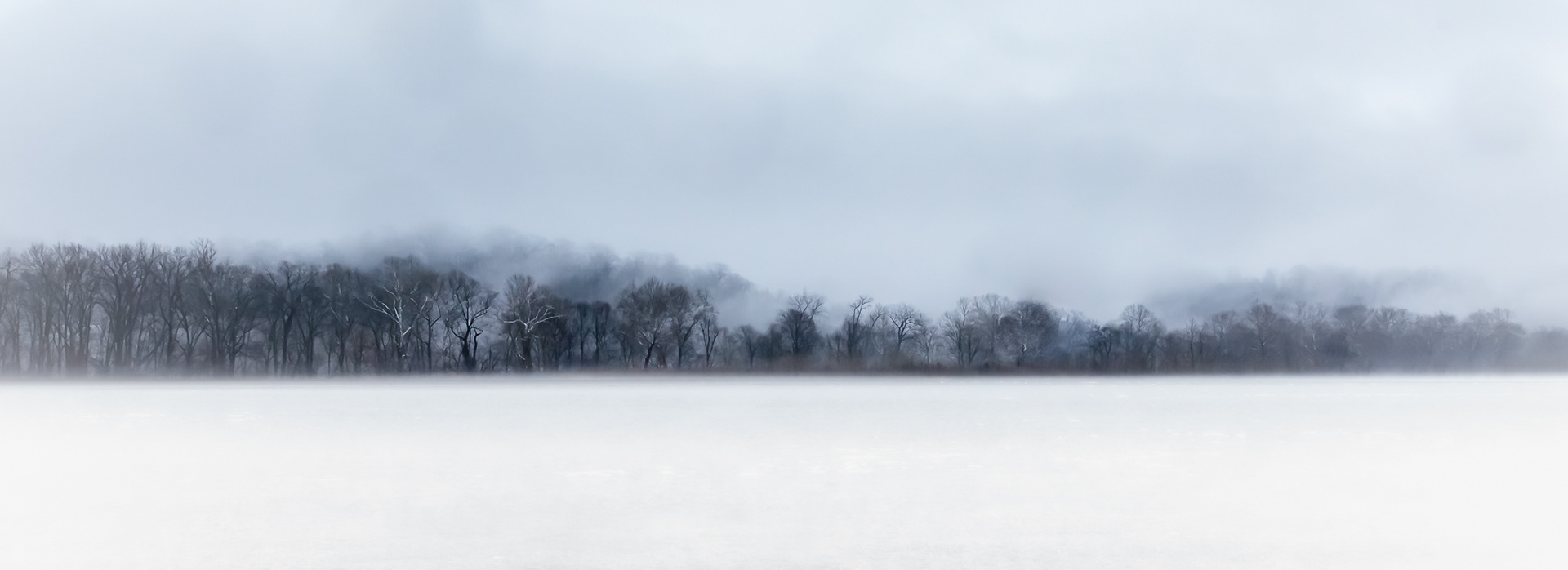 Winter Field