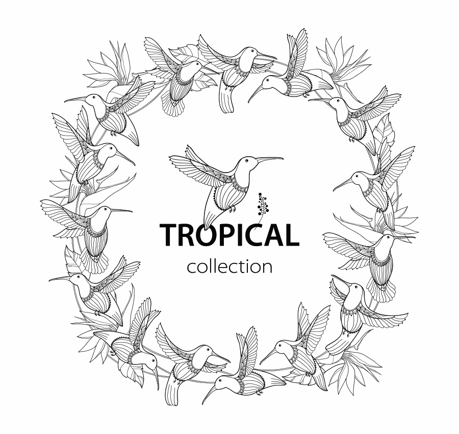 Tropical collection