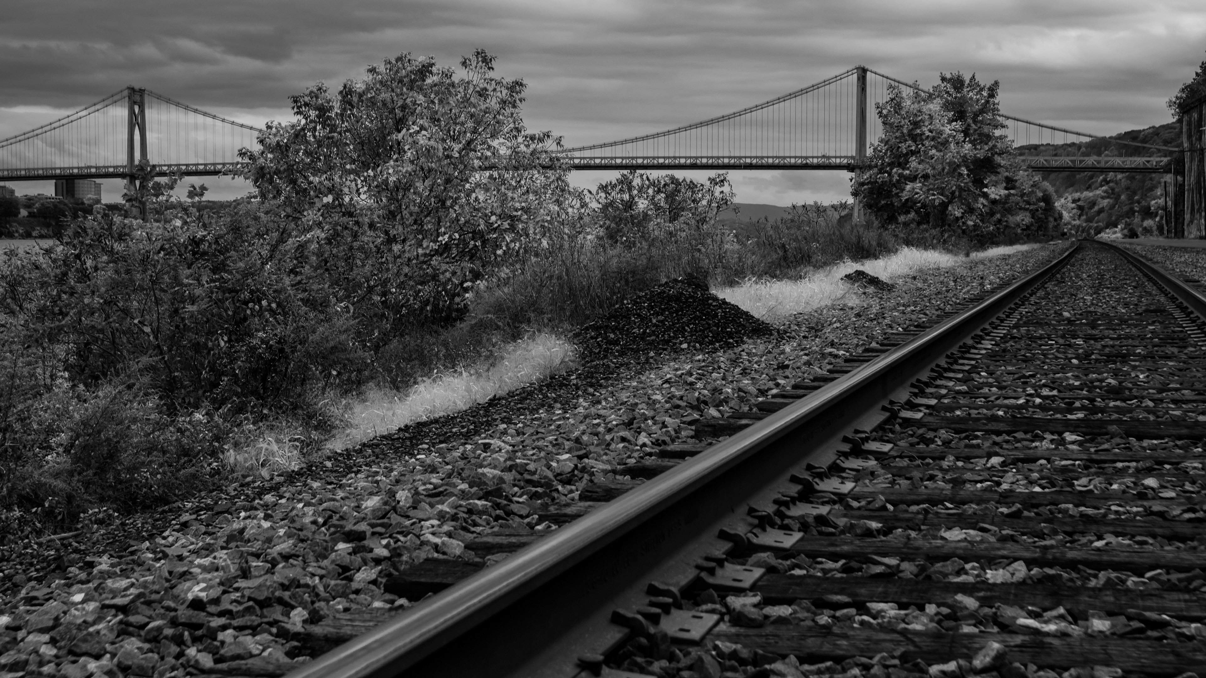 Tracks and Trees, Poughkeepsie NY