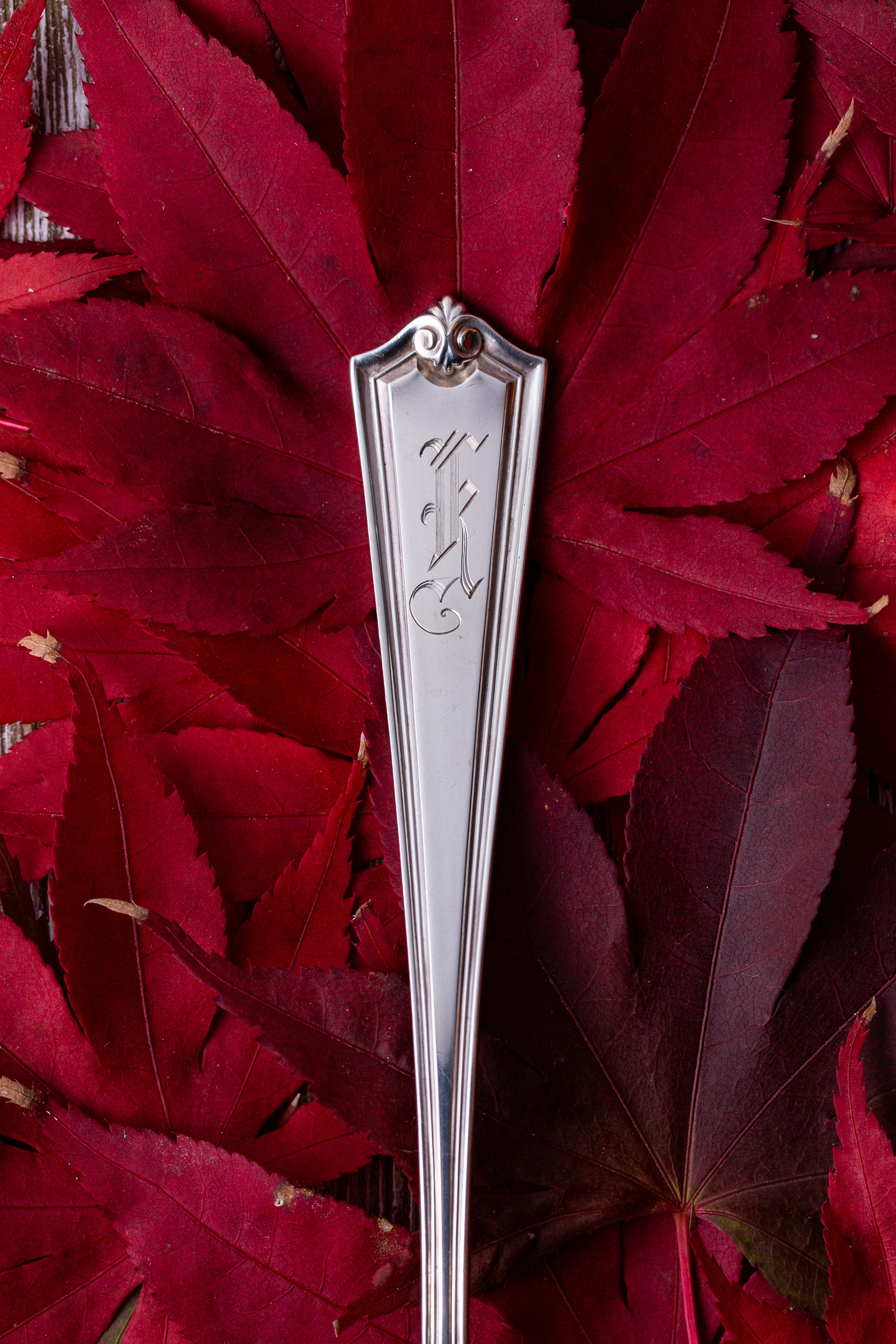 Fall colors with engraved silver