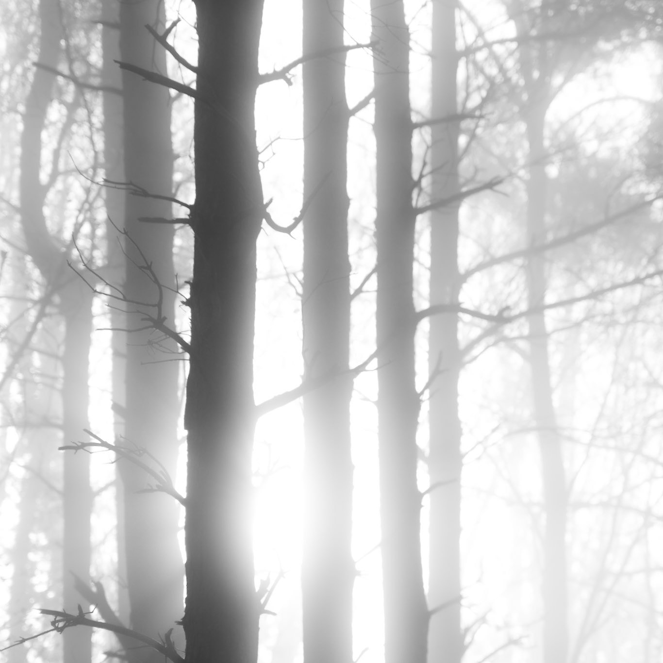 The Crostan Abstract (Black-and-White version)