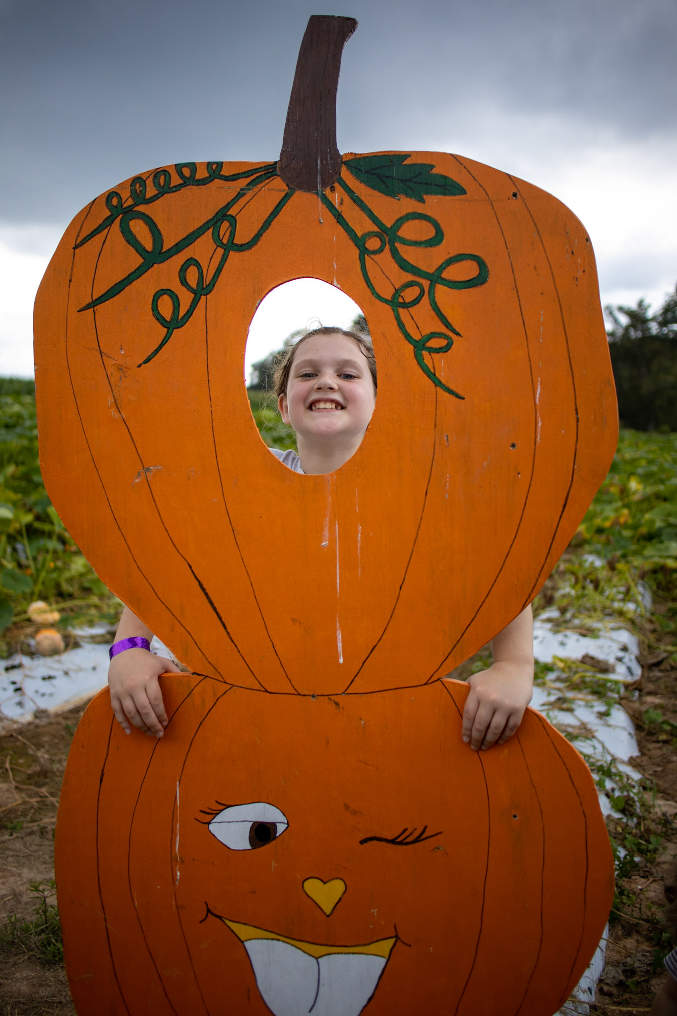 Pumpkin Time