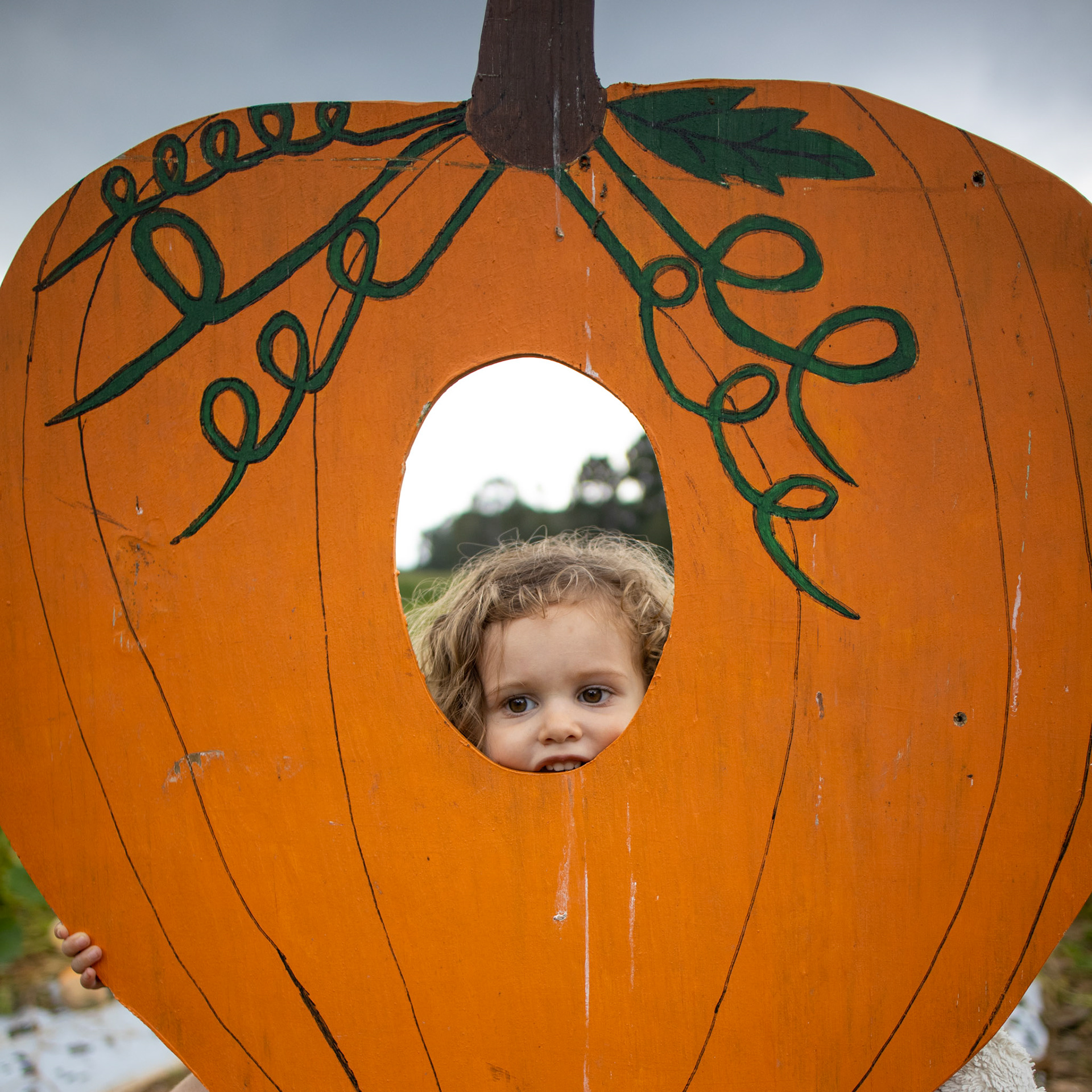 Biting Pumpkin