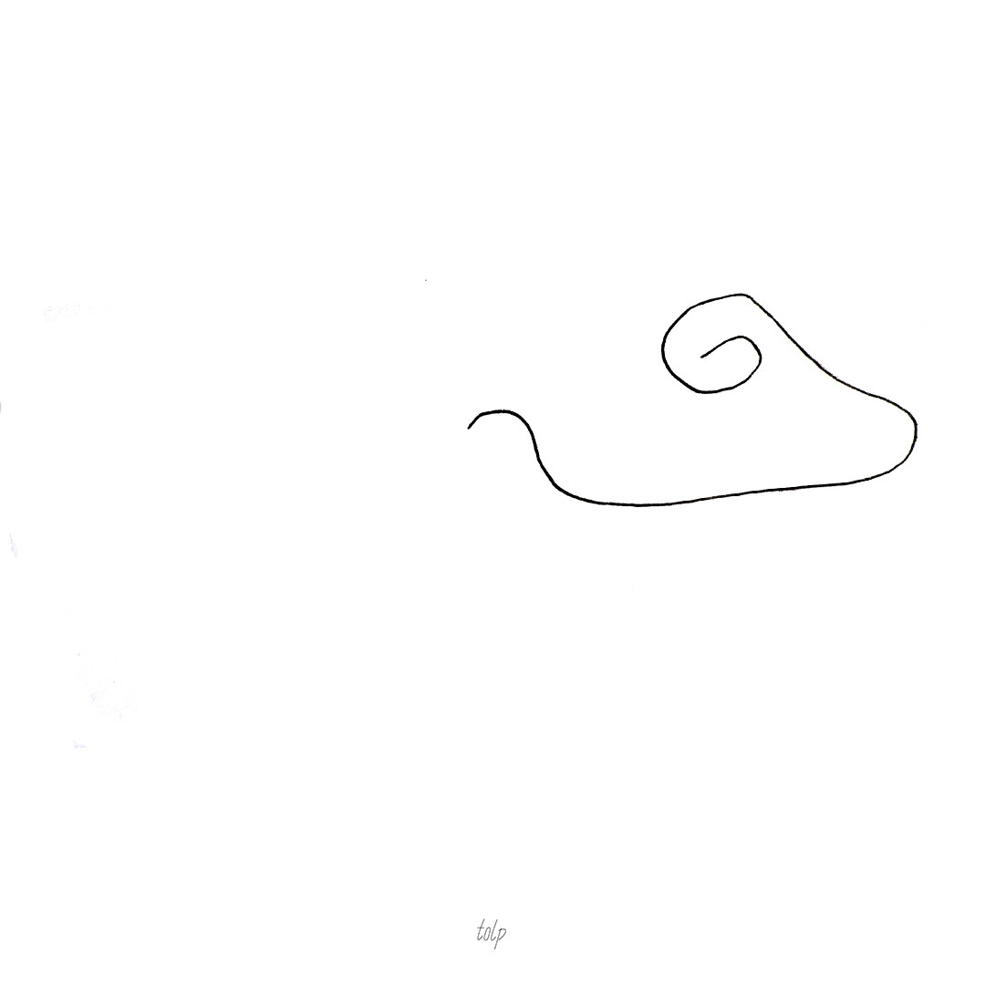 Elephant?
