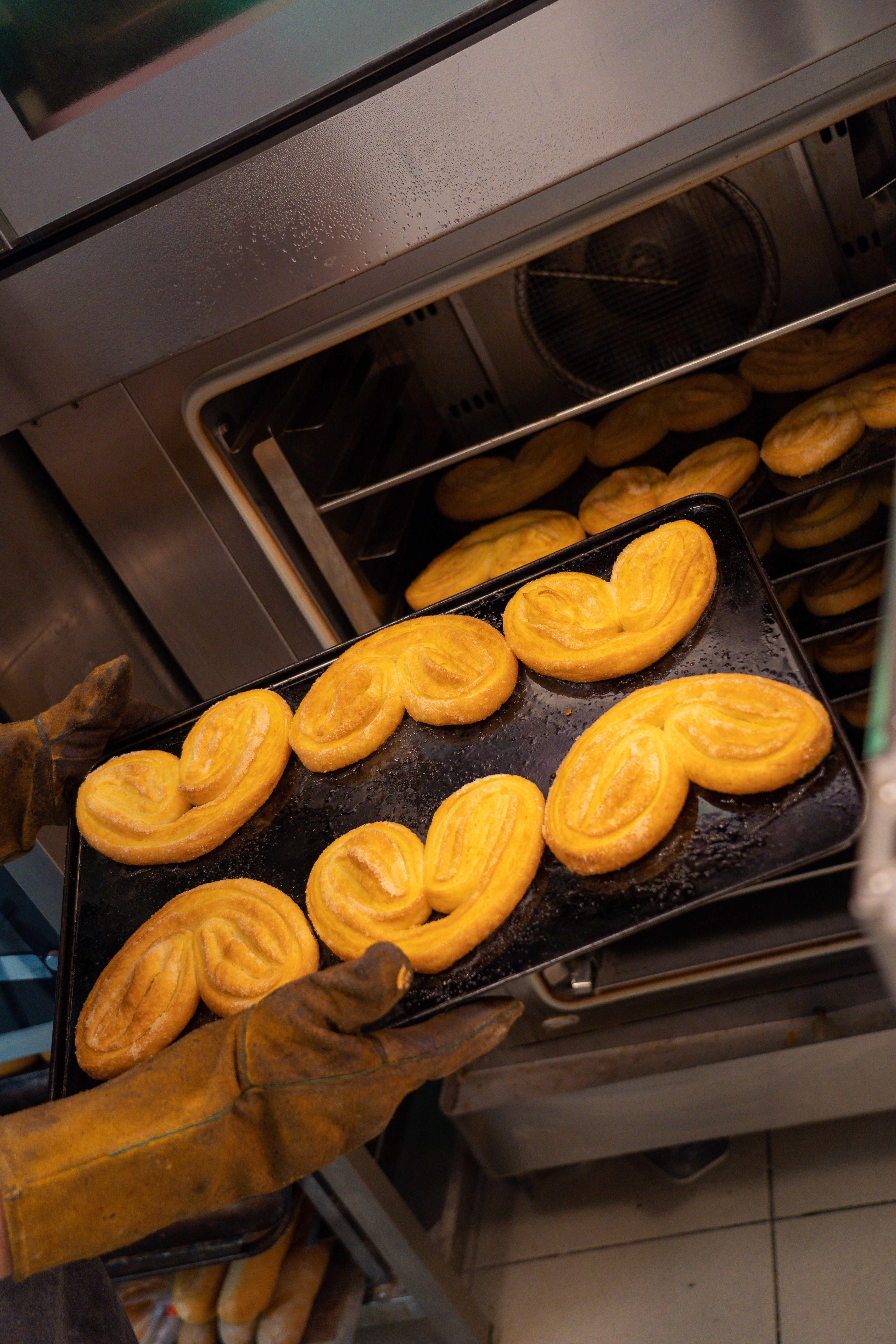 Palmeras saliendo del horno