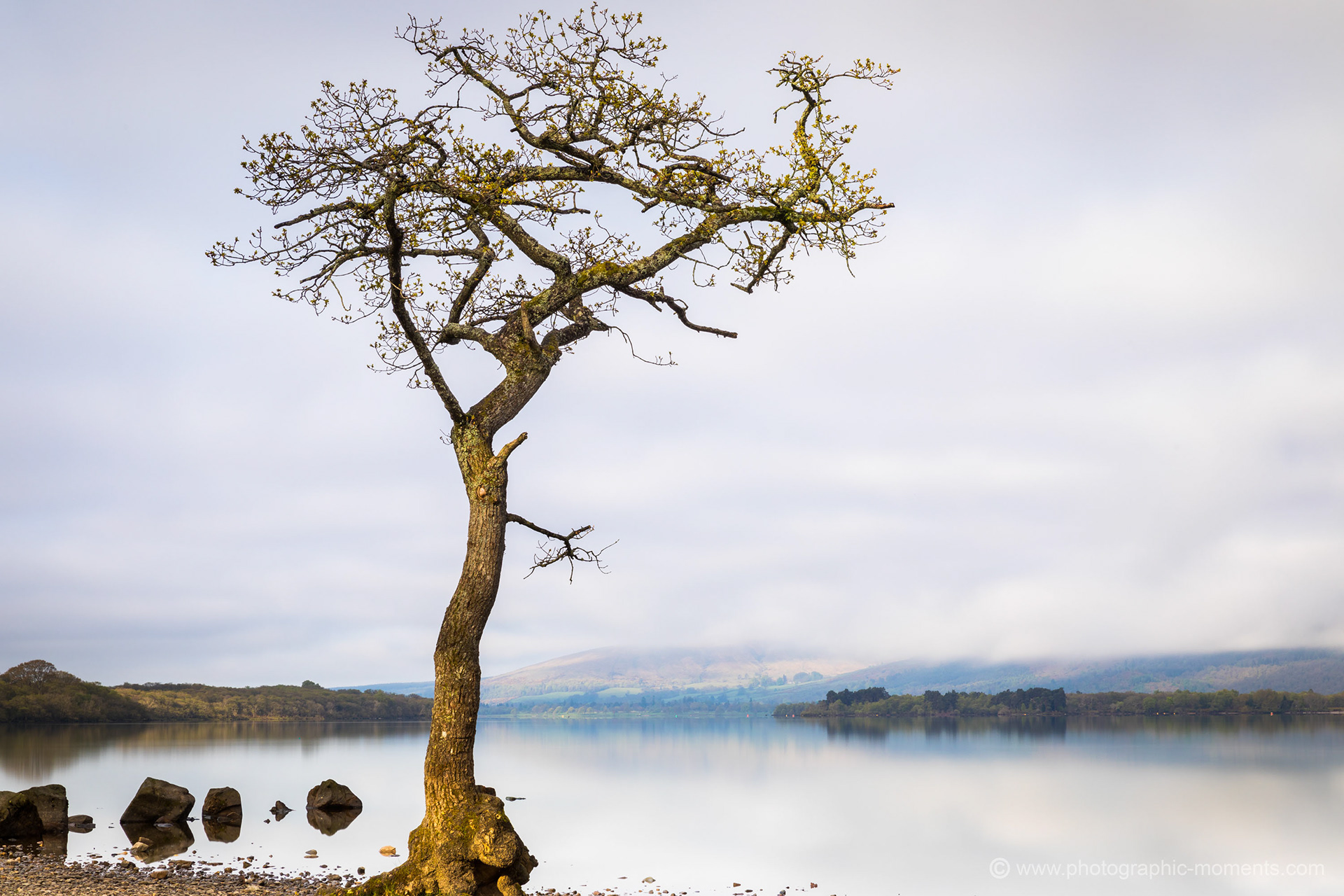 Loch Lomond/ Schottland