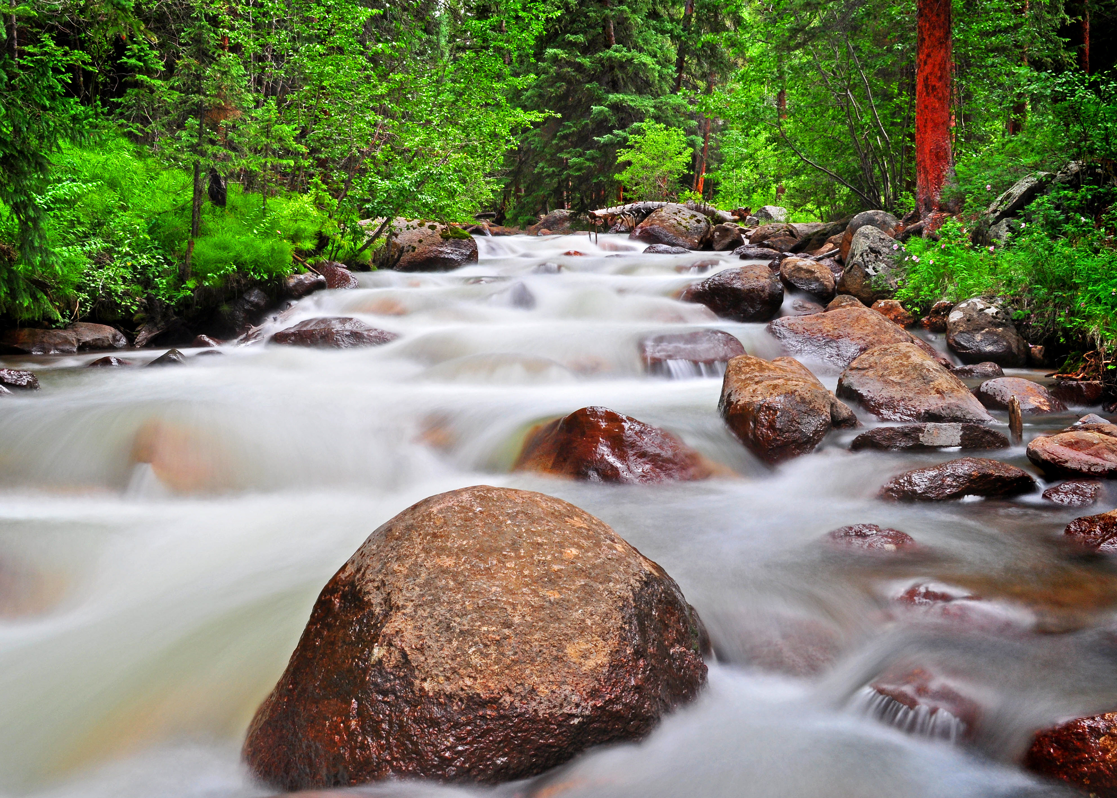 colorado
