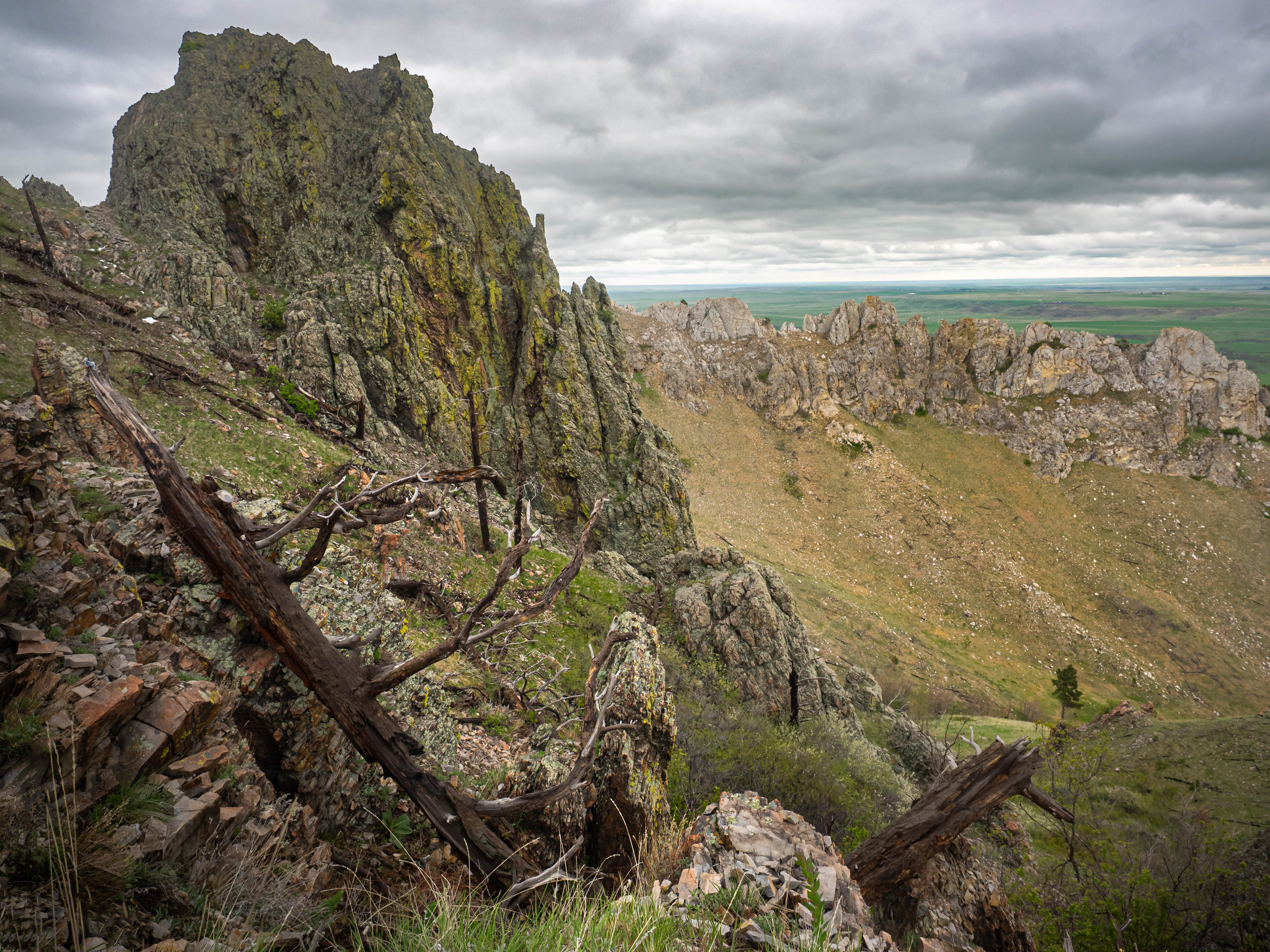 Black Hills, SD