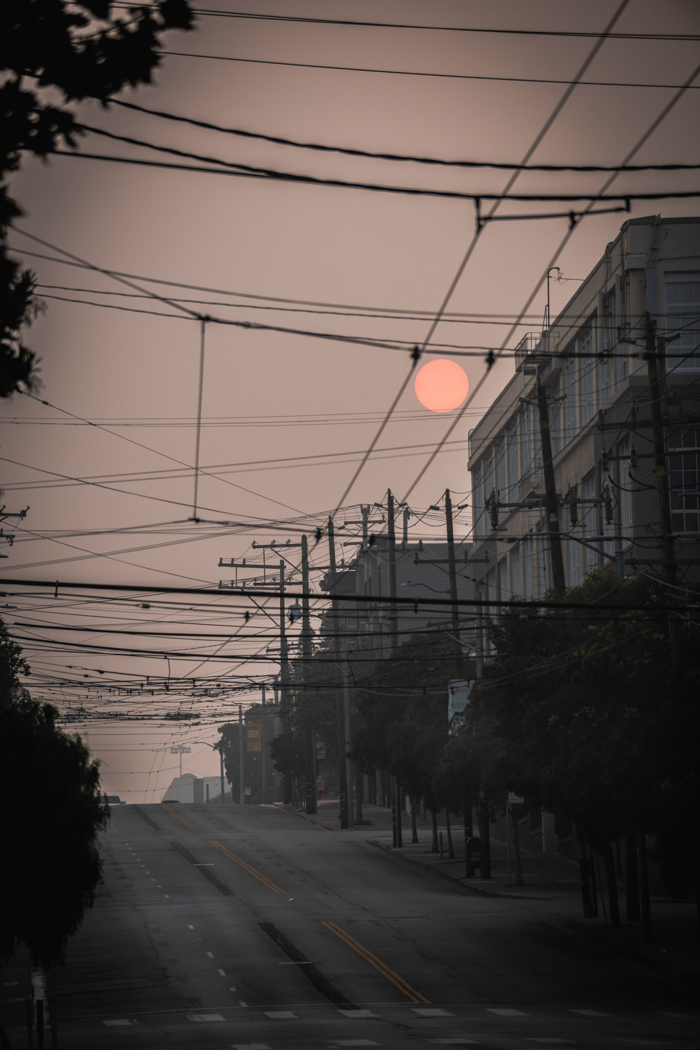 ©santosnieto